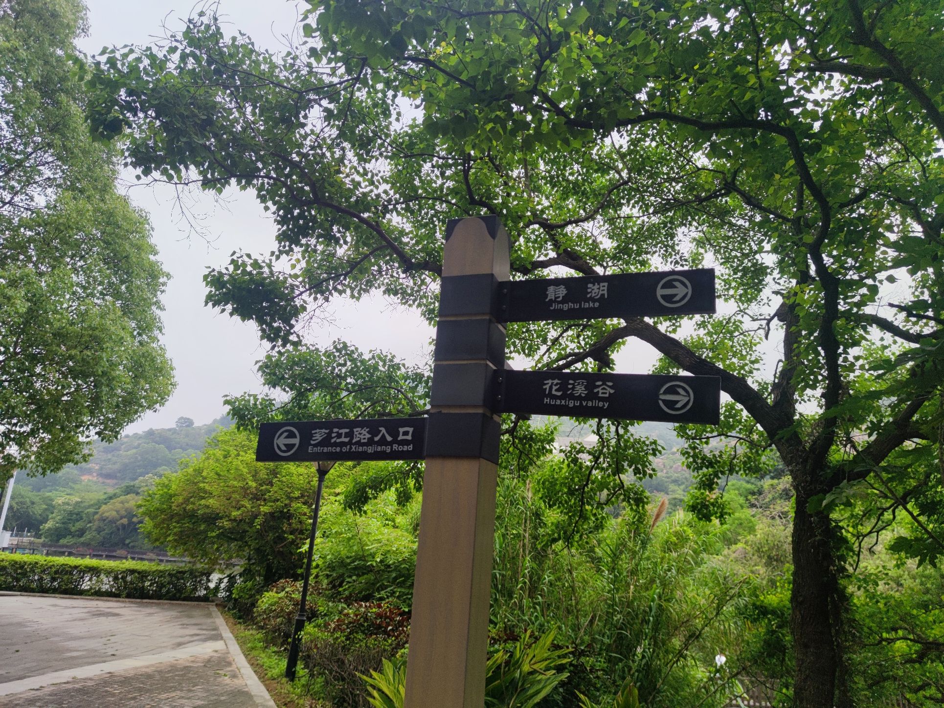 静湖公园旅行图片 2