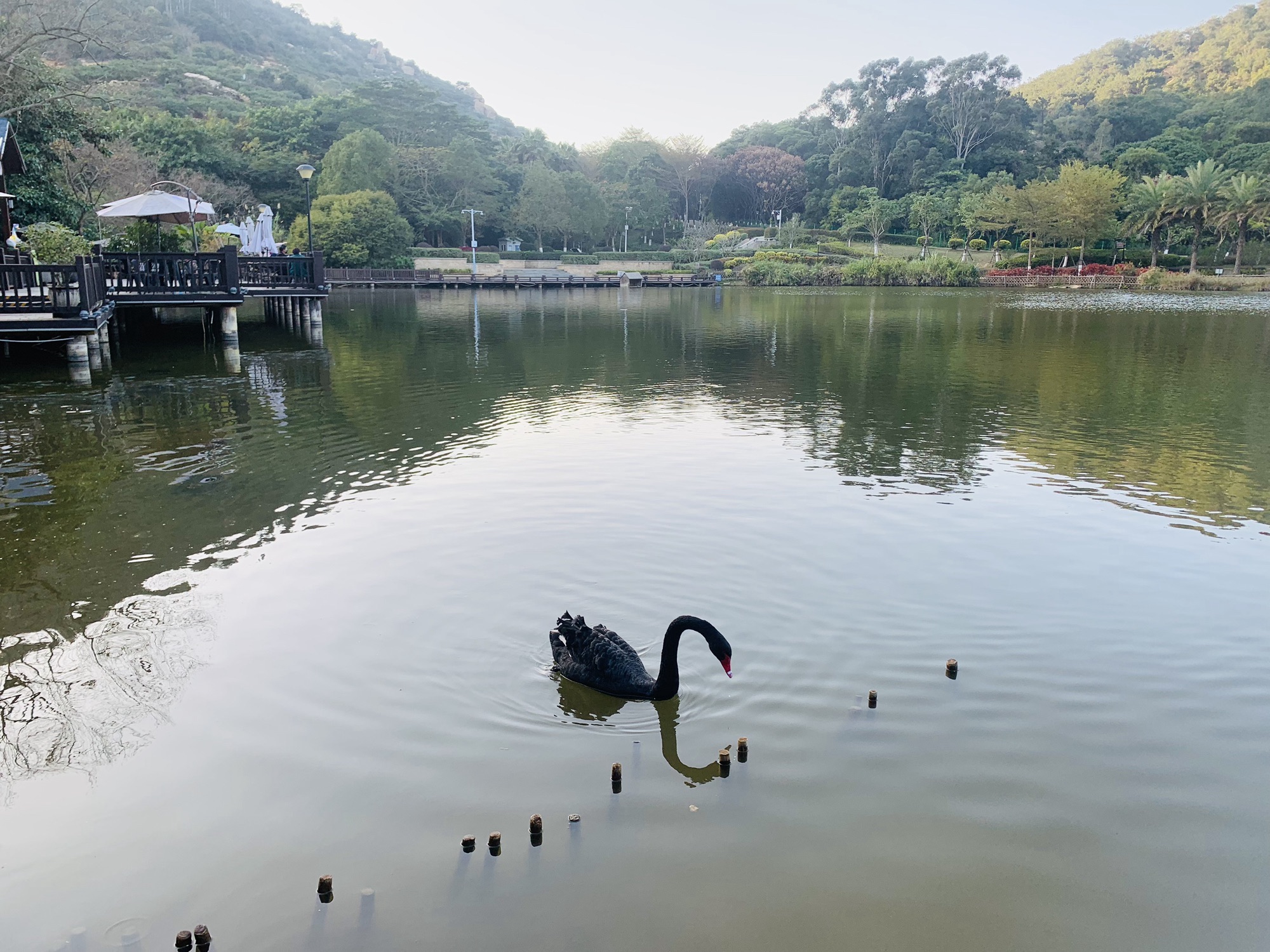 静湖公园旅行图片 3