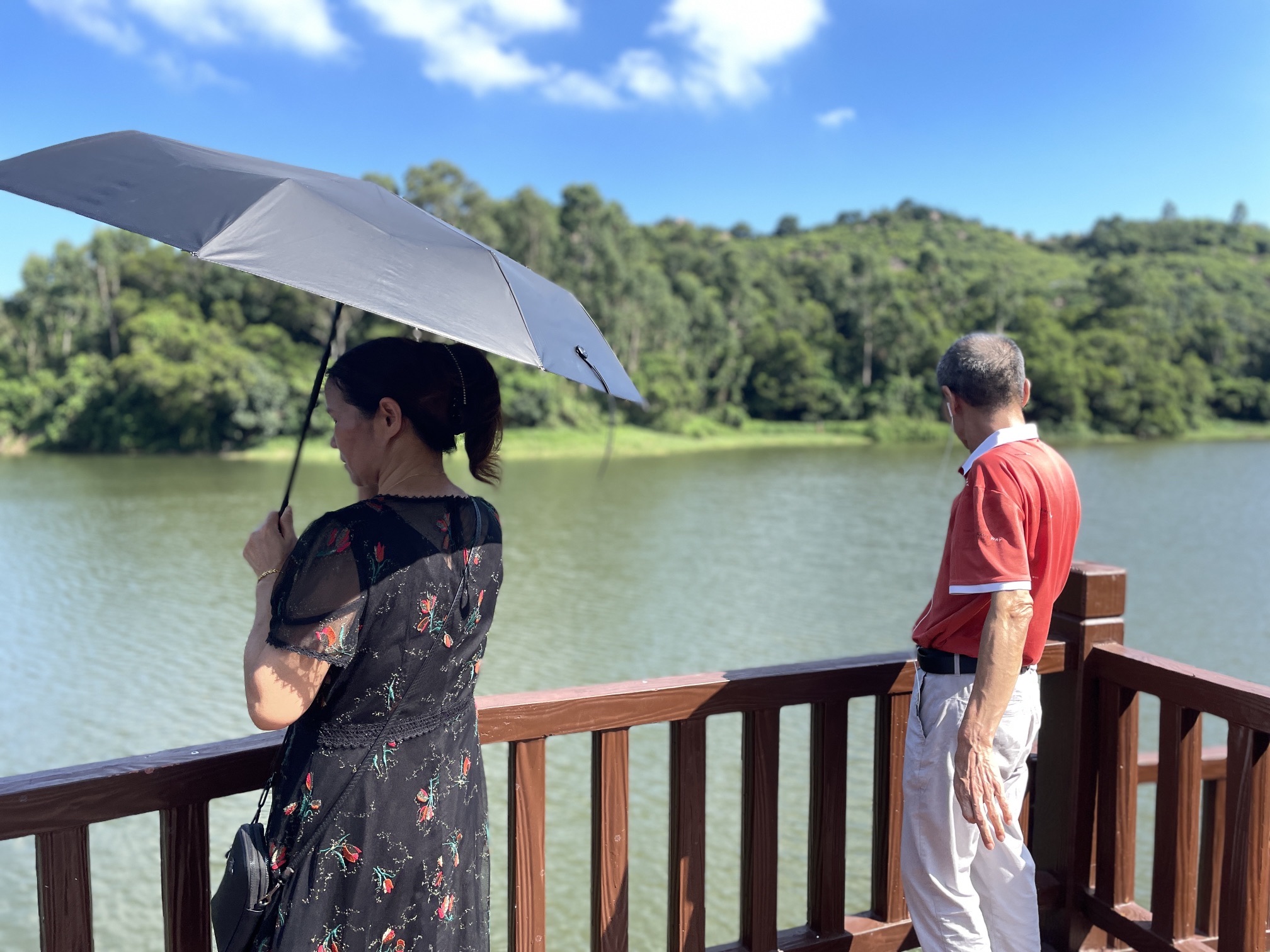 静湖公园旅行图片 1