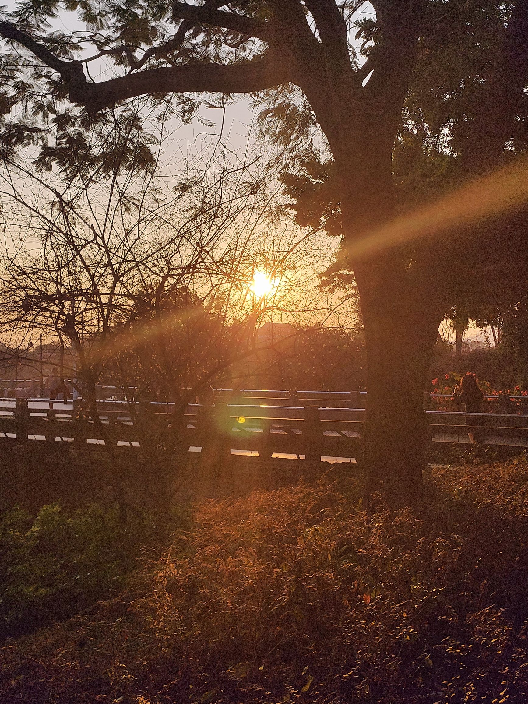 江滨公园旅行图片 1