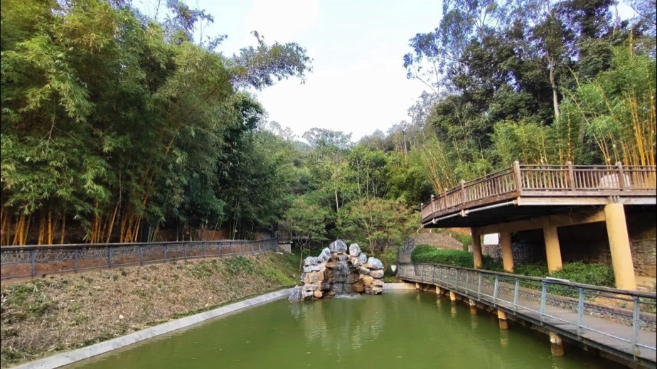 福建省华安竹类植物园旅行图片 1