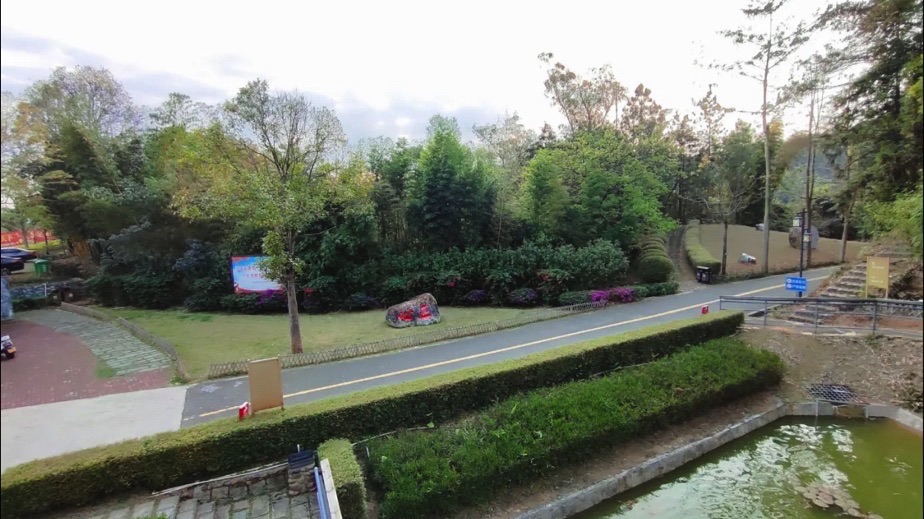 福建省华安竹类植物园旅行图片 2