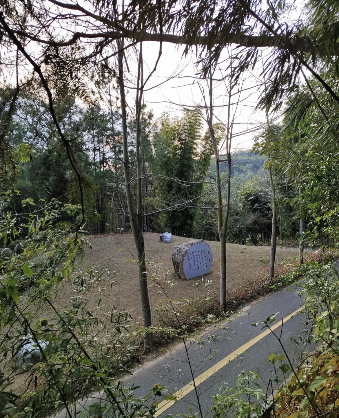 福建省华安竹类植物园旅行图片 2