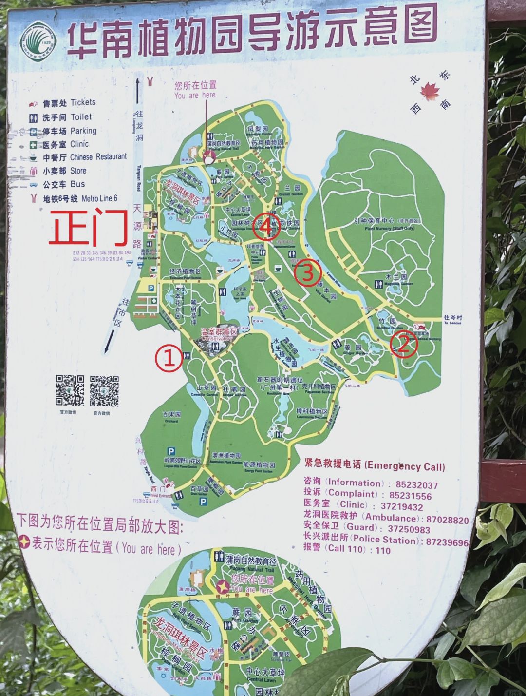 福建省华安竹类植物园旅行图片 3