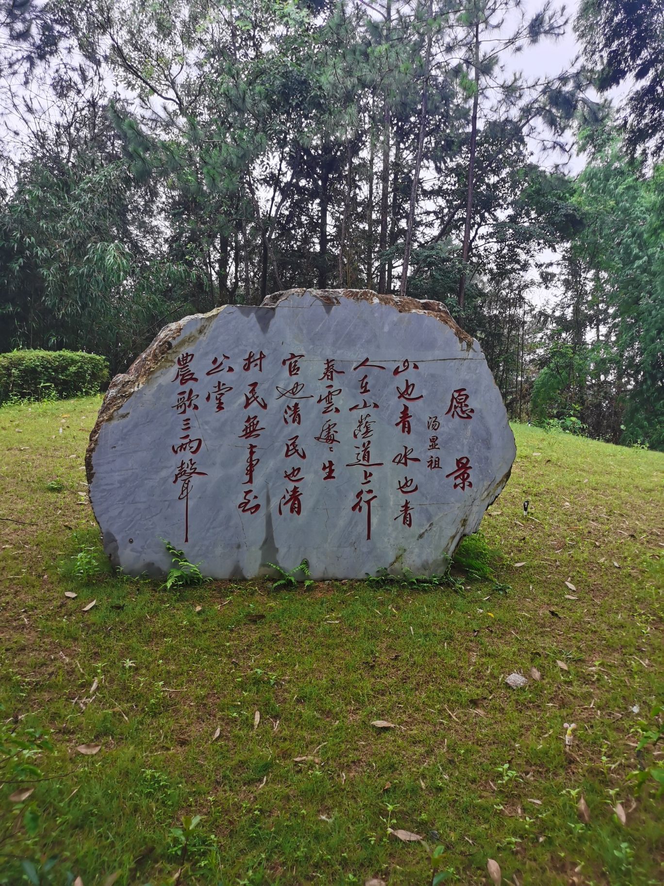福建省华安竹类植物园