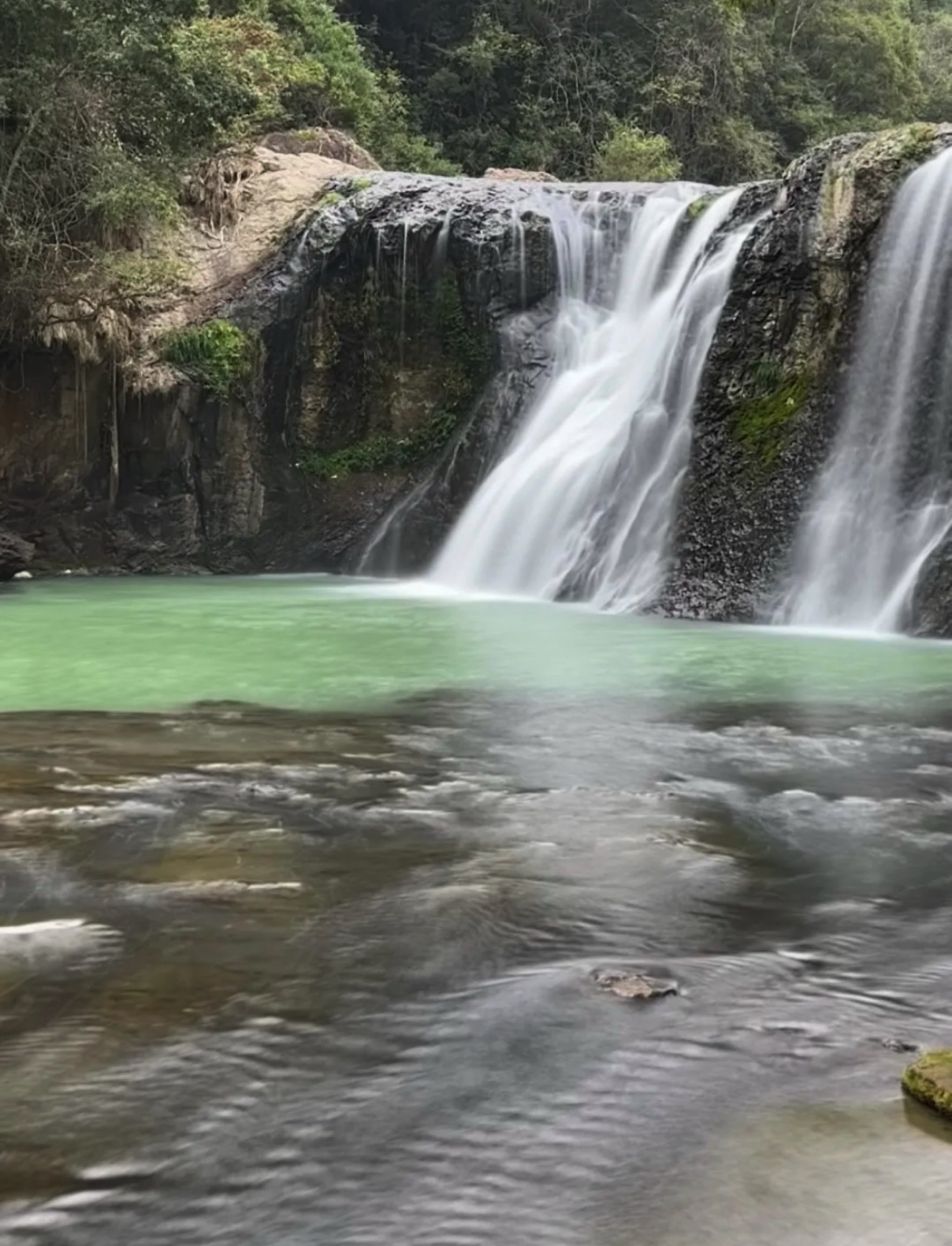树海瀑布旅行图片 3