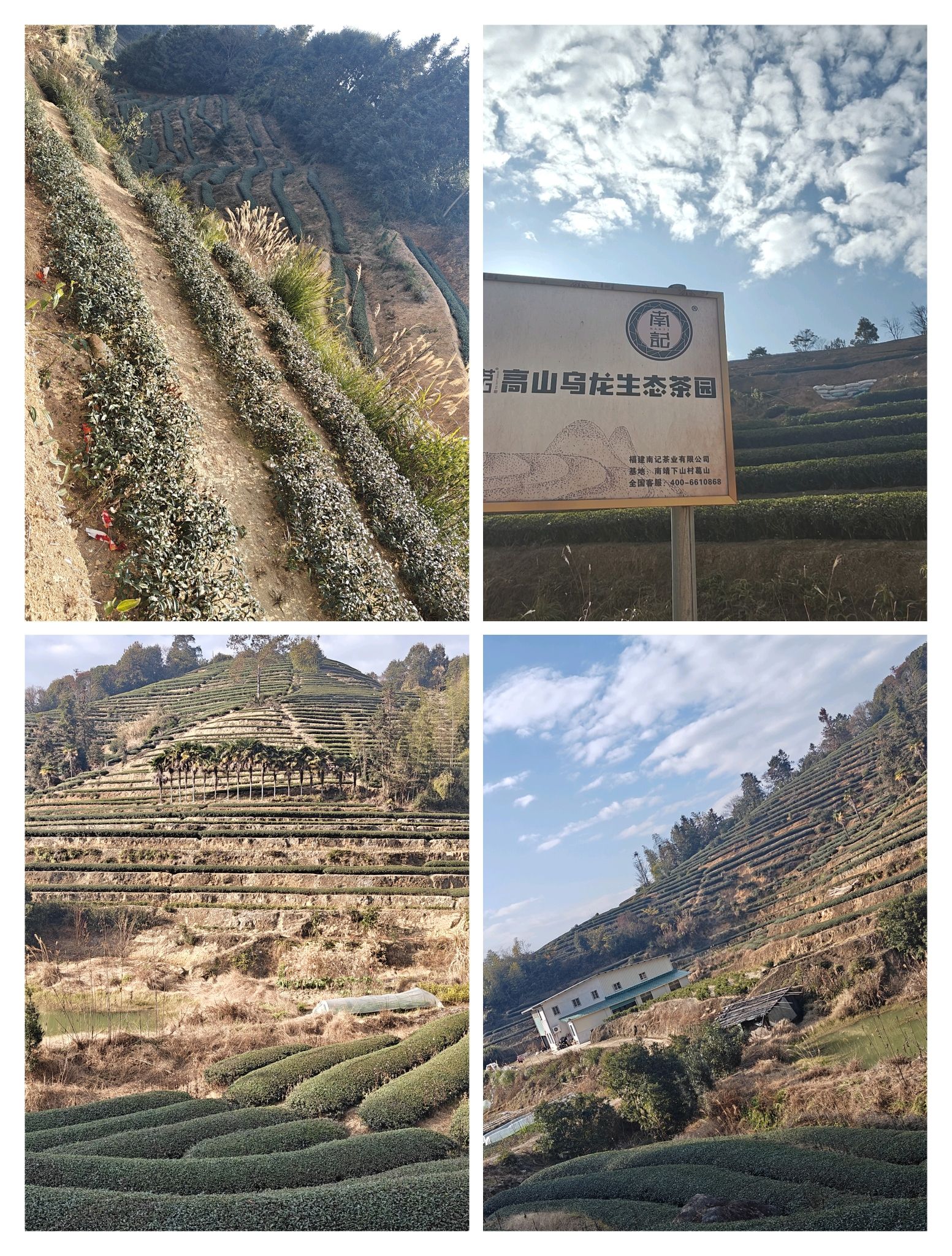 树海瀑布旅行图片 3