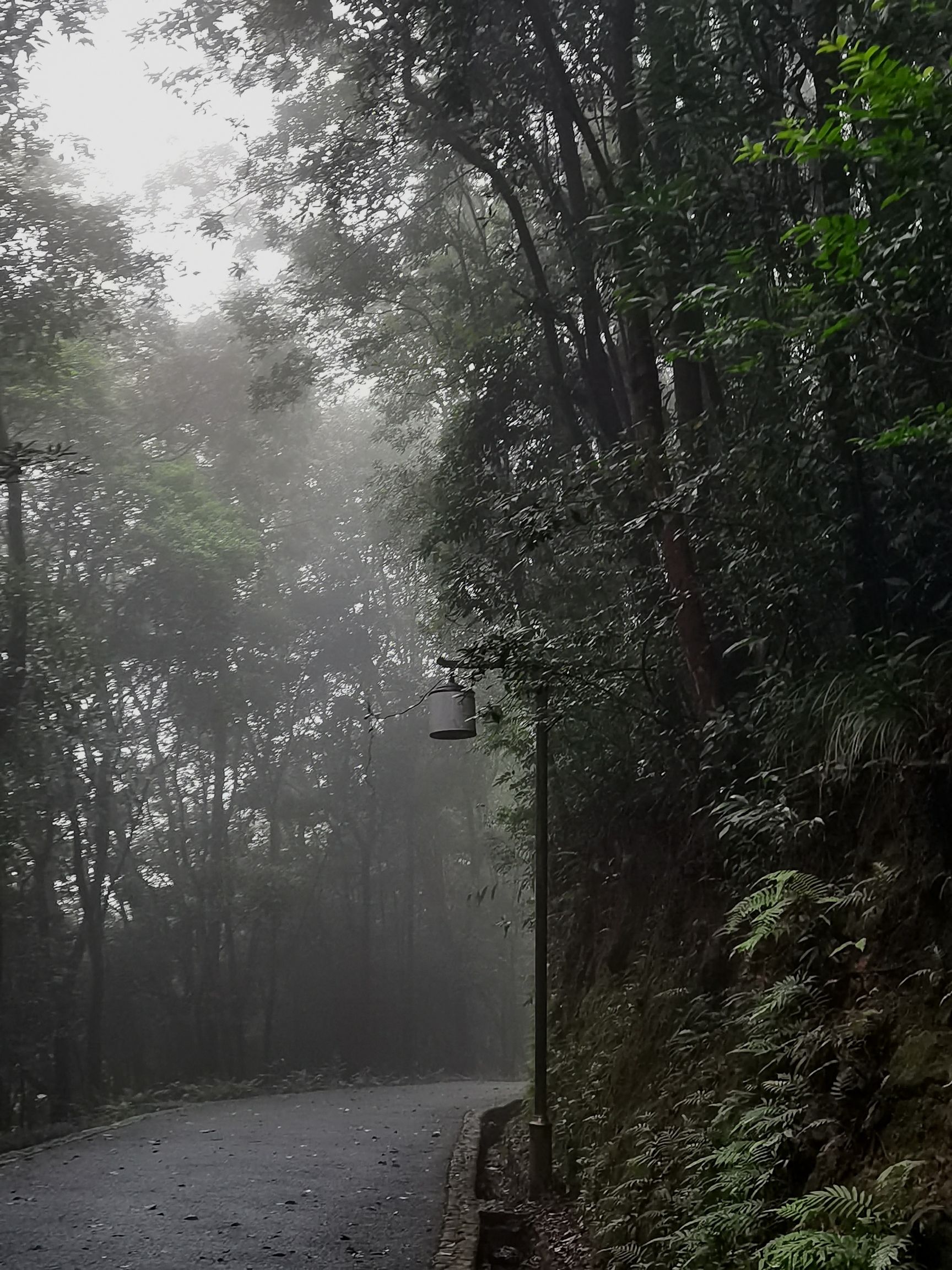 树海瀑布旅行图片 2