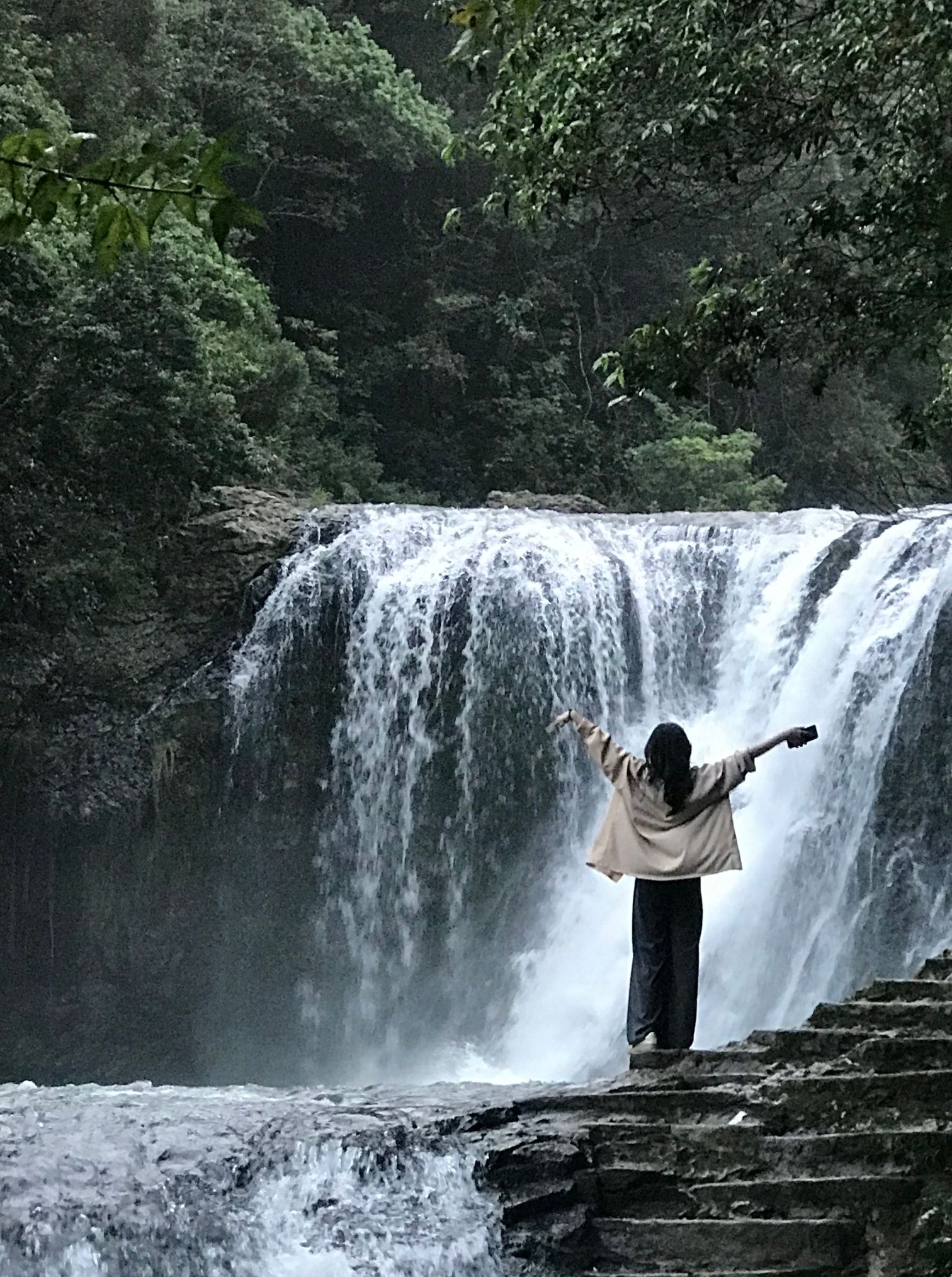 树海瀑布旅行图片 1