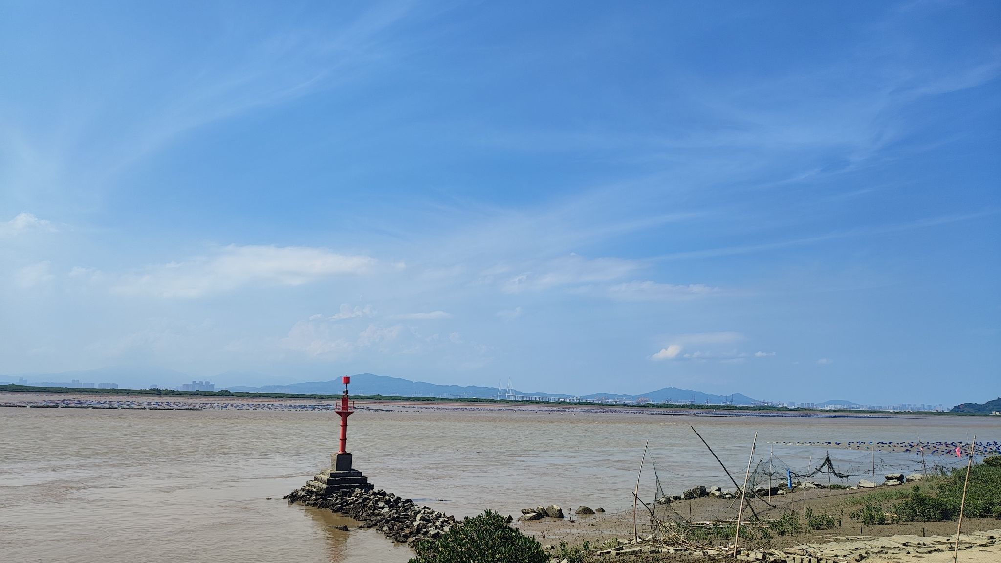 龙海红树林自然保护区旅行图片 1