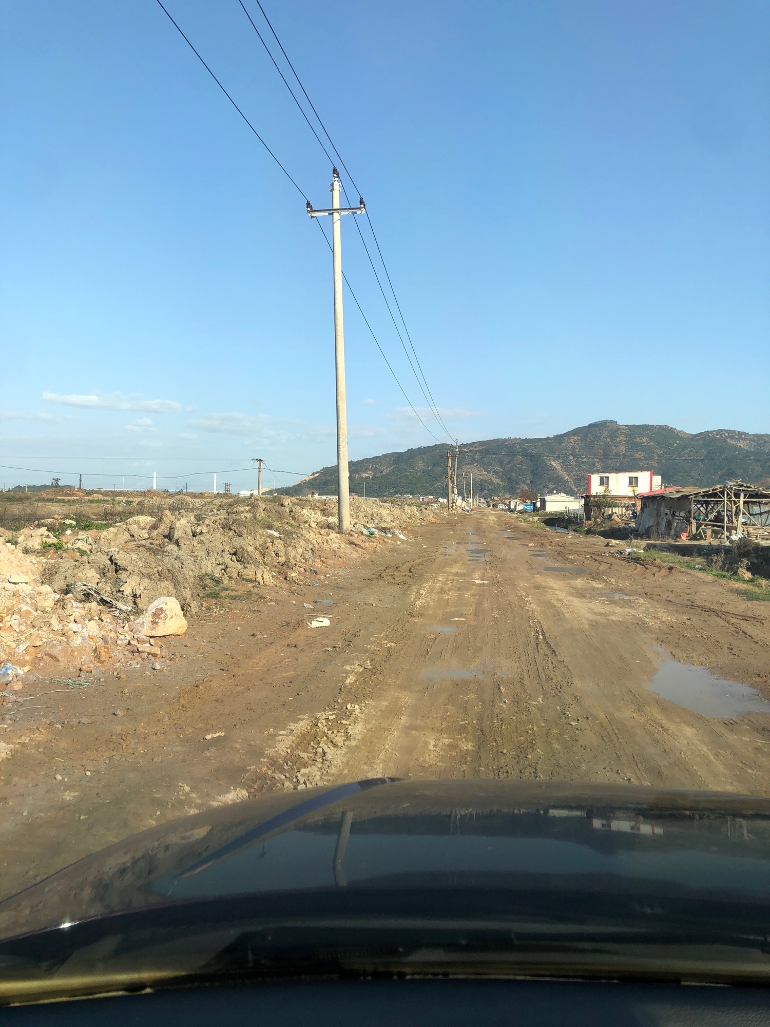龙海红树林自然保护区旅行图片 1