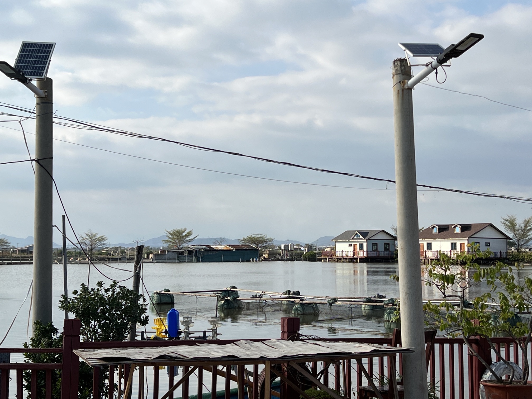 龙海红树林自然保护区旅行图片 2