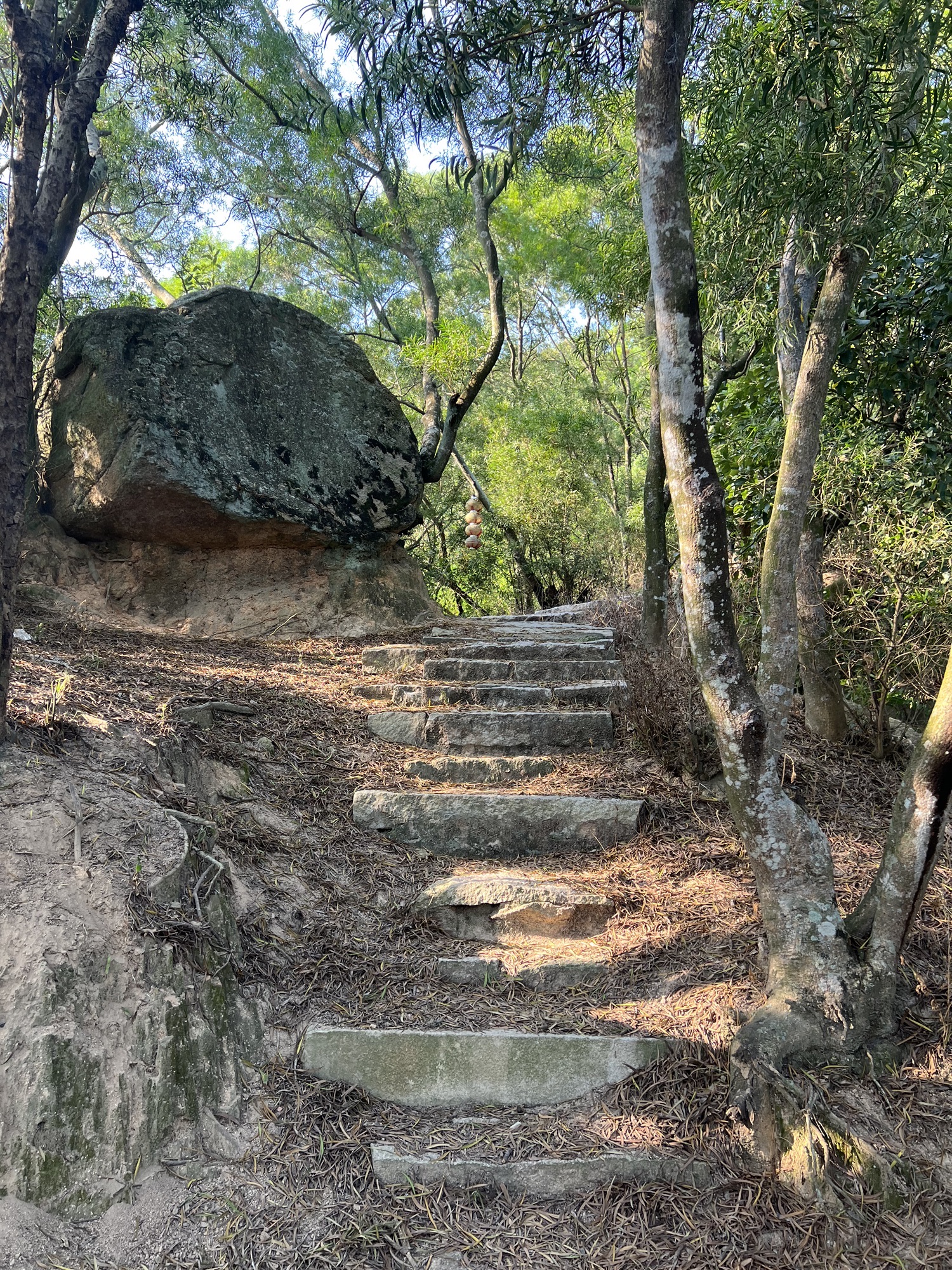 六鳌古城旅行图片 3