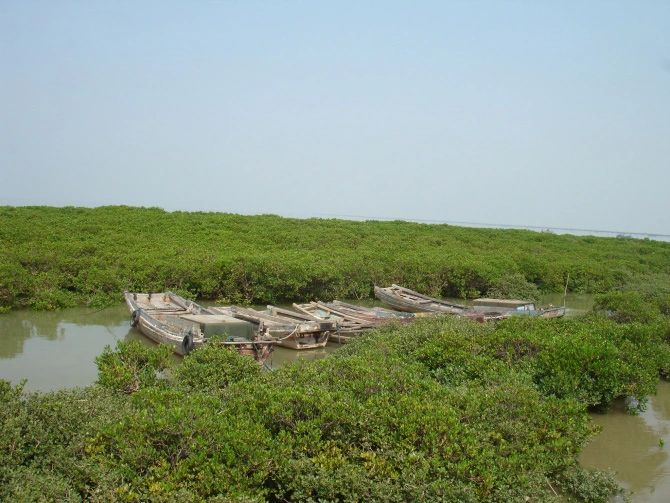 海门岛旅行图片 2