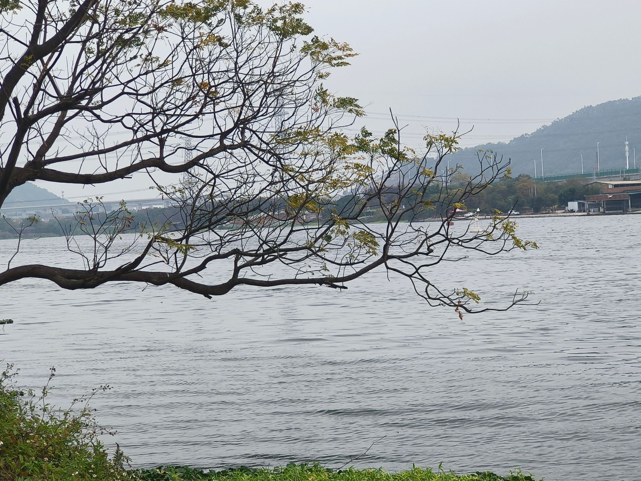 龙文郊野公园旅行图片 2