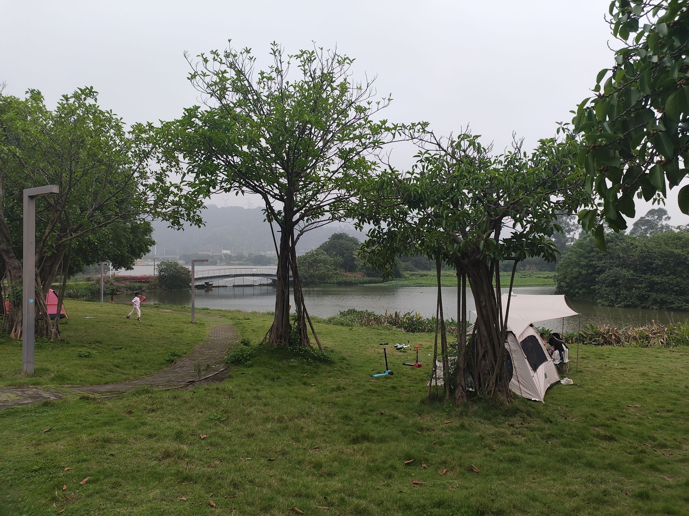 龙文郊野公园旅行图片 3