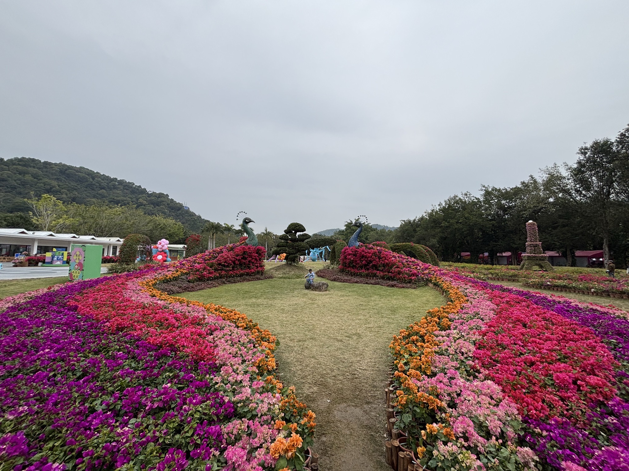 东南花都旅行图片 3
