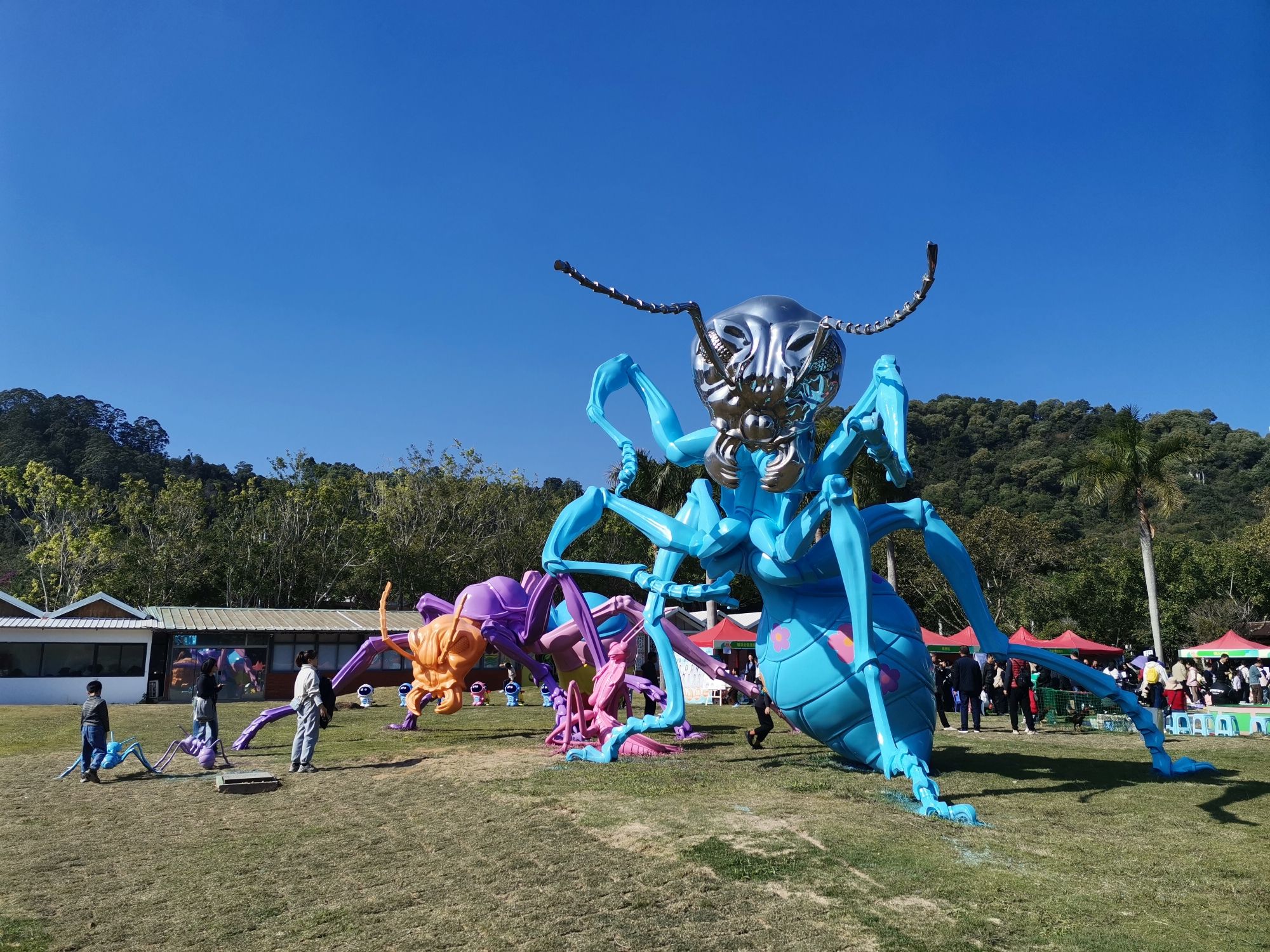 东南花都旅行图片 3