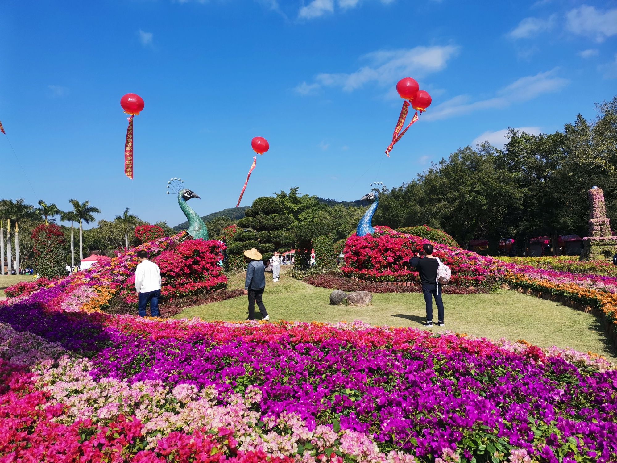 东南花都旅行图片 2