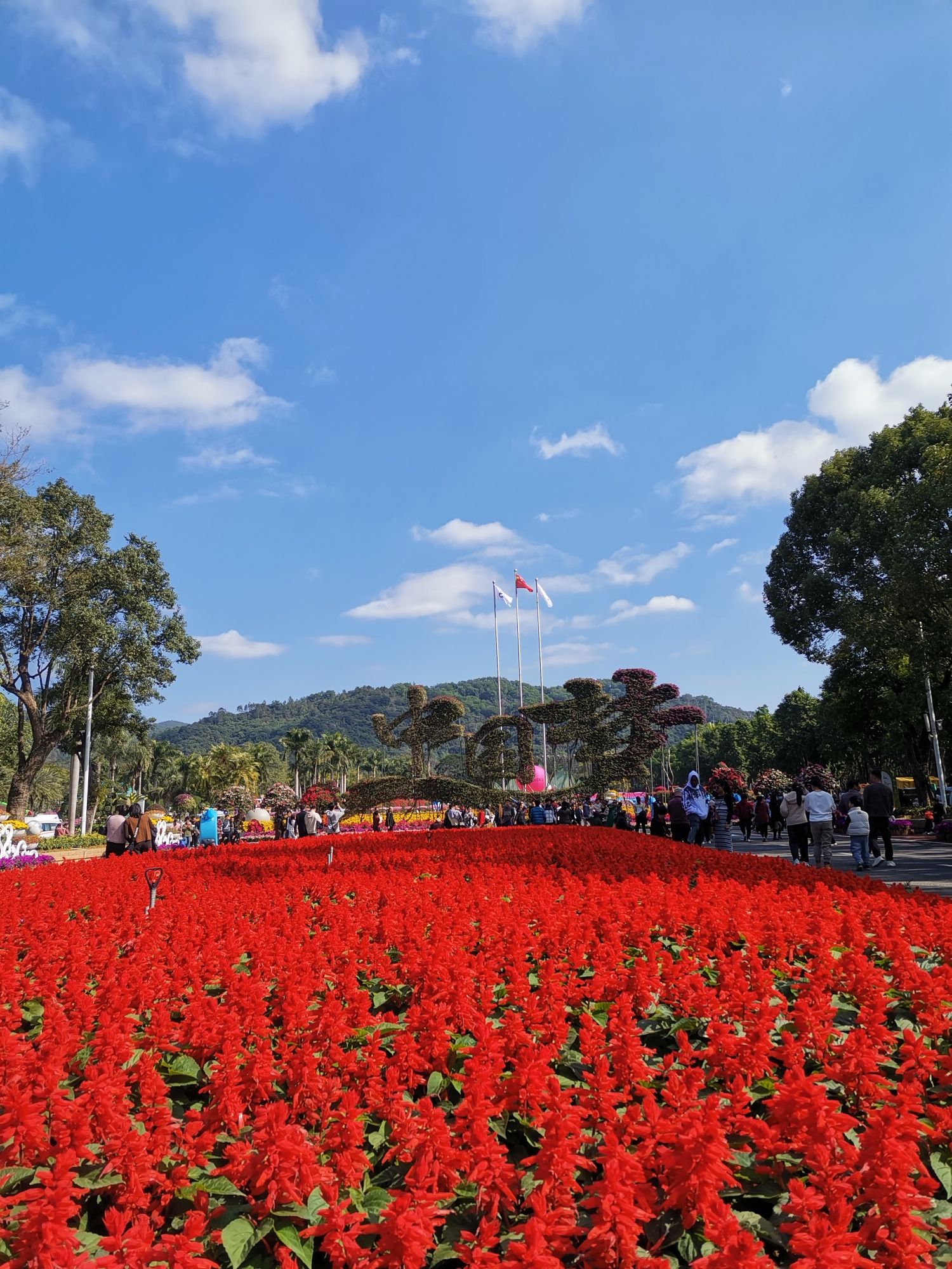东南花都旅行图片 1