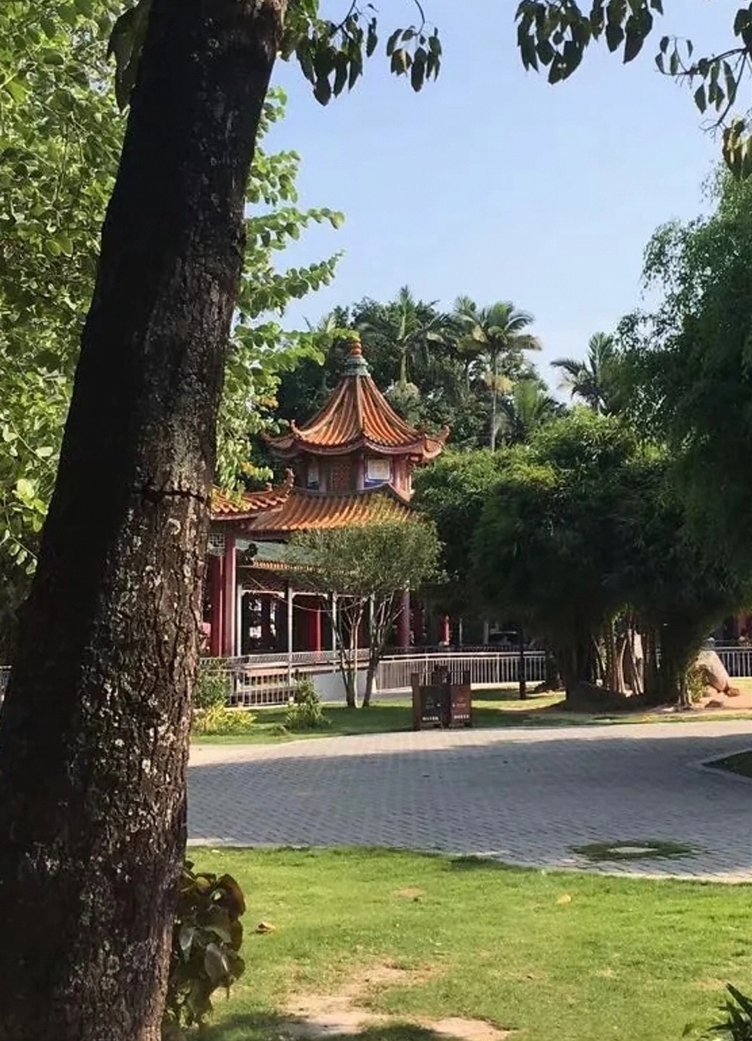 中山公园旅行图片 3