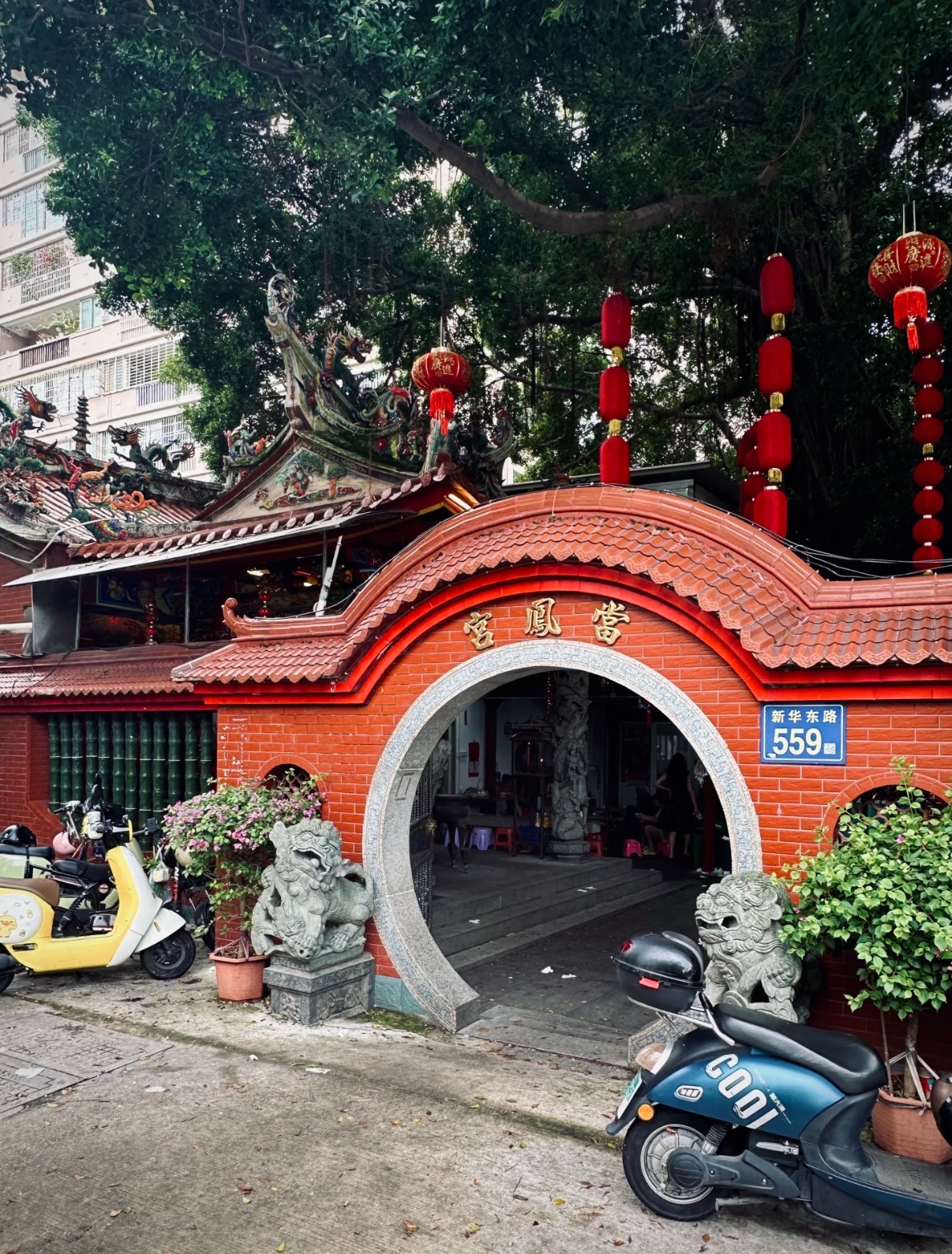 当凤宫实景照片
