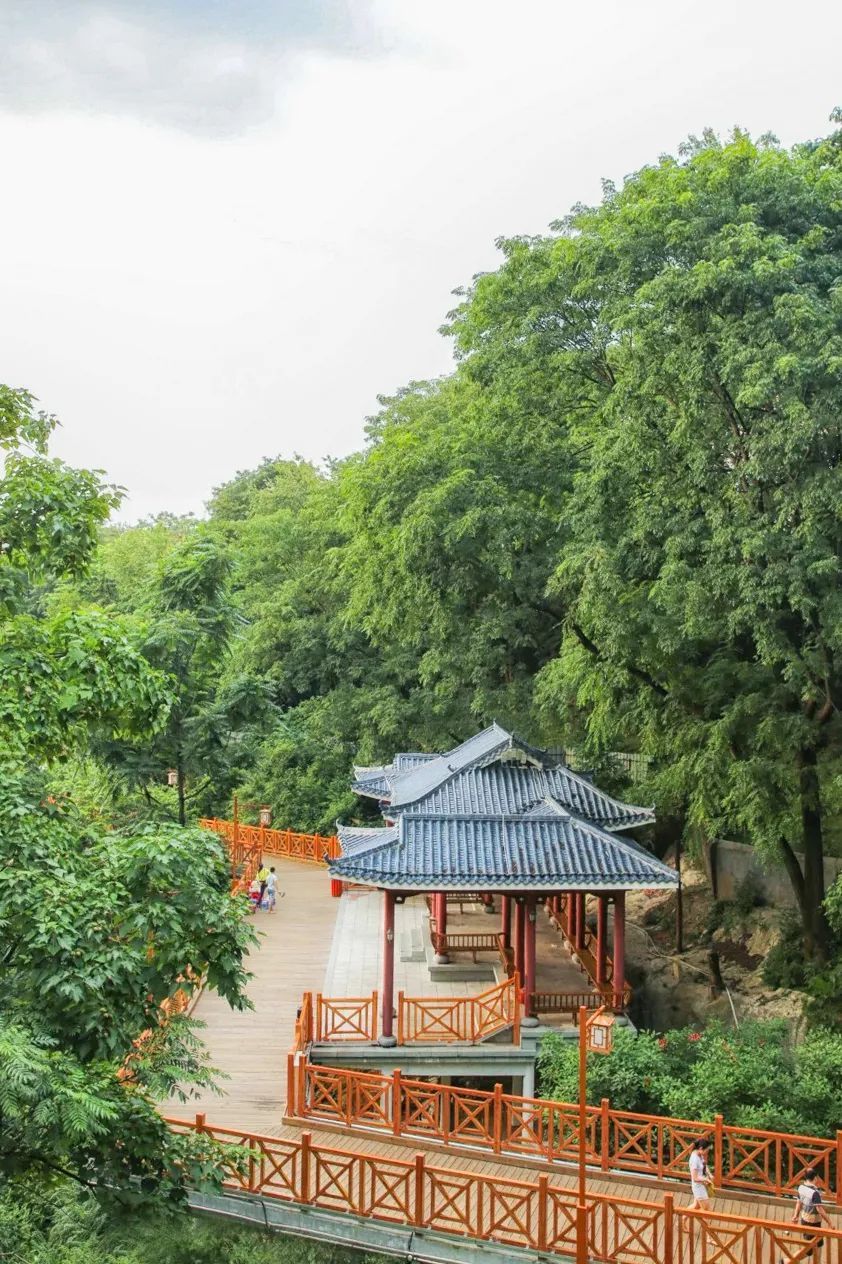 莲花山公园旅行图片 2