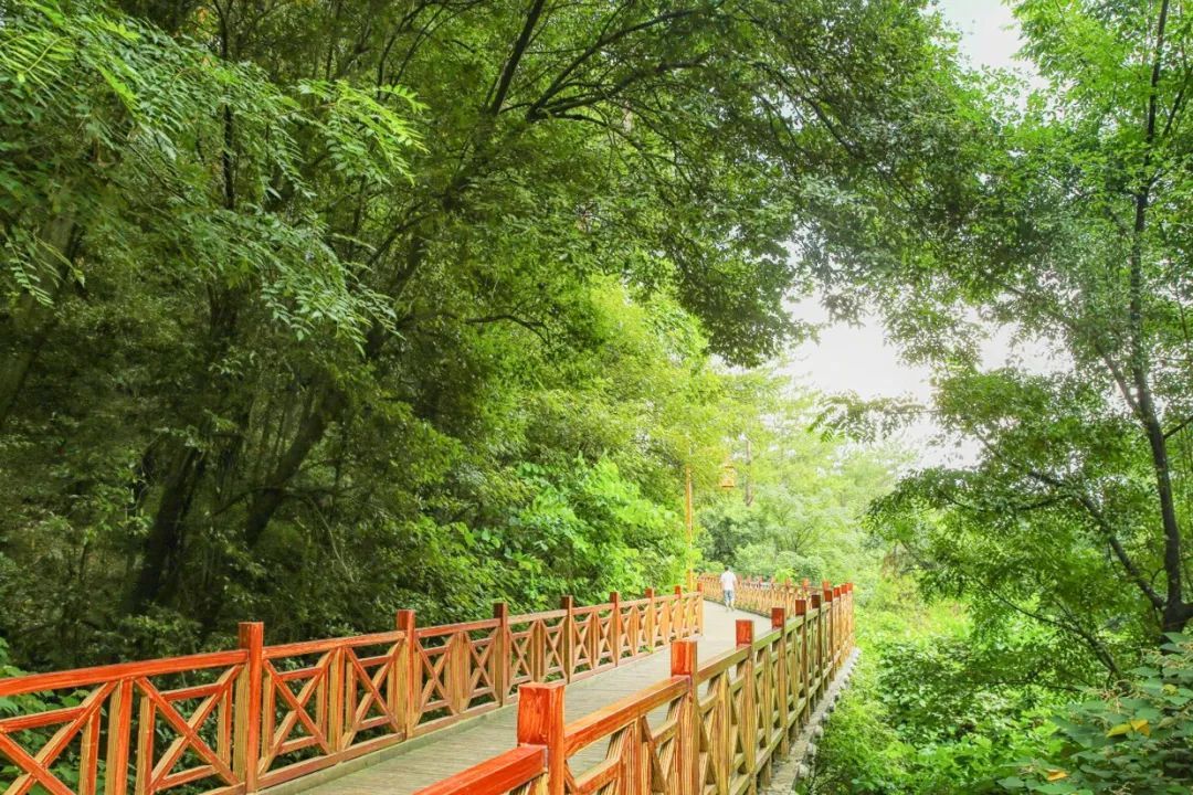 莲花山公园