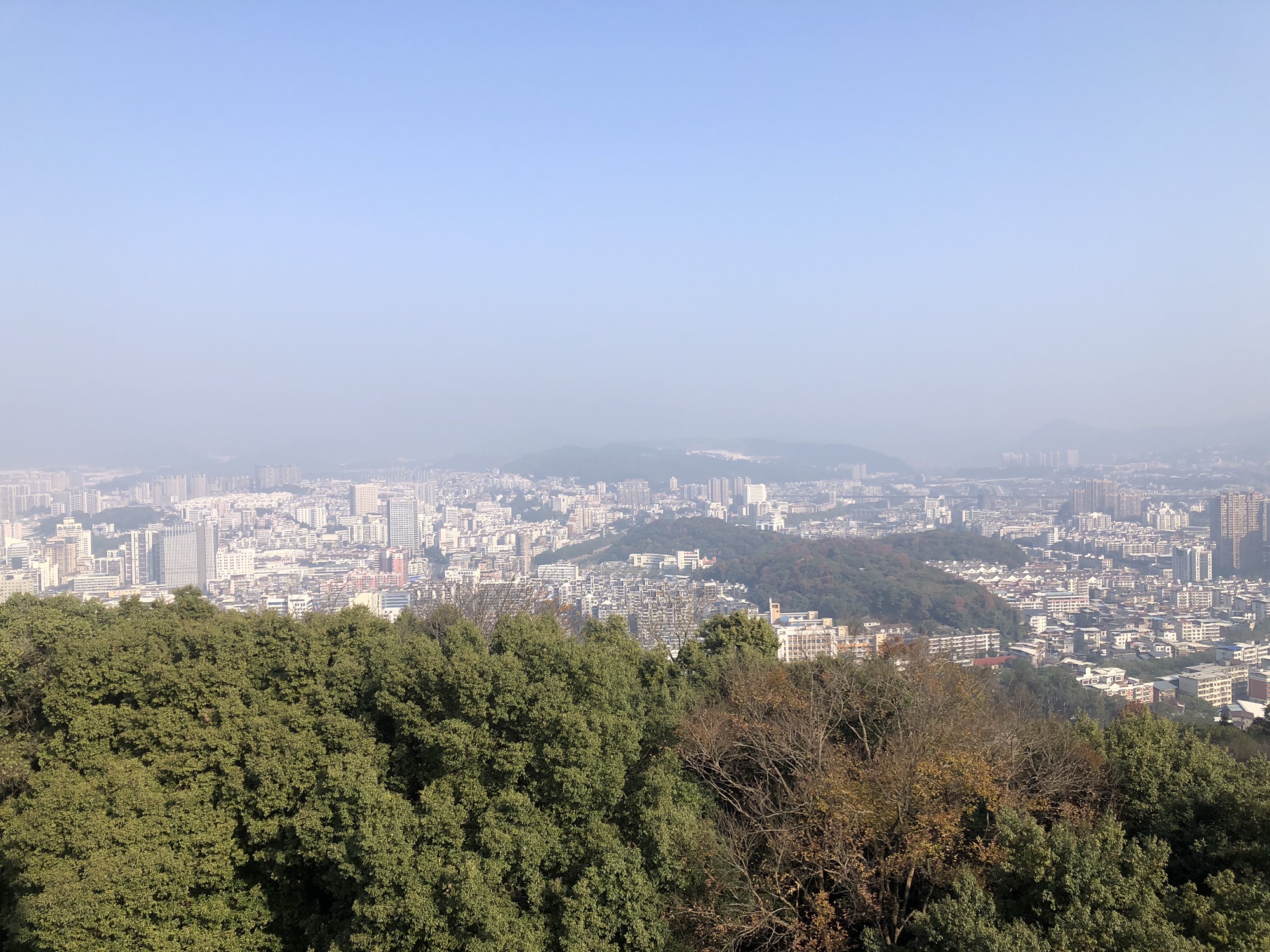 莲花山公园旅行图片 3