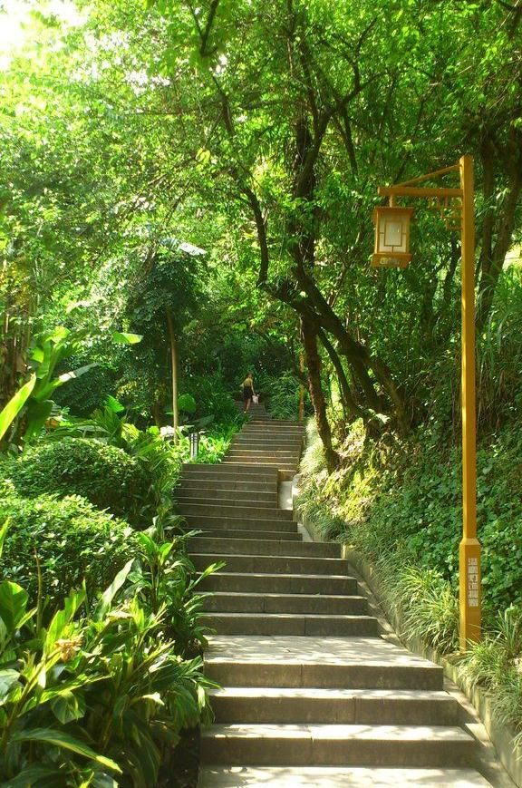 莲花山公园旅行图片 1
