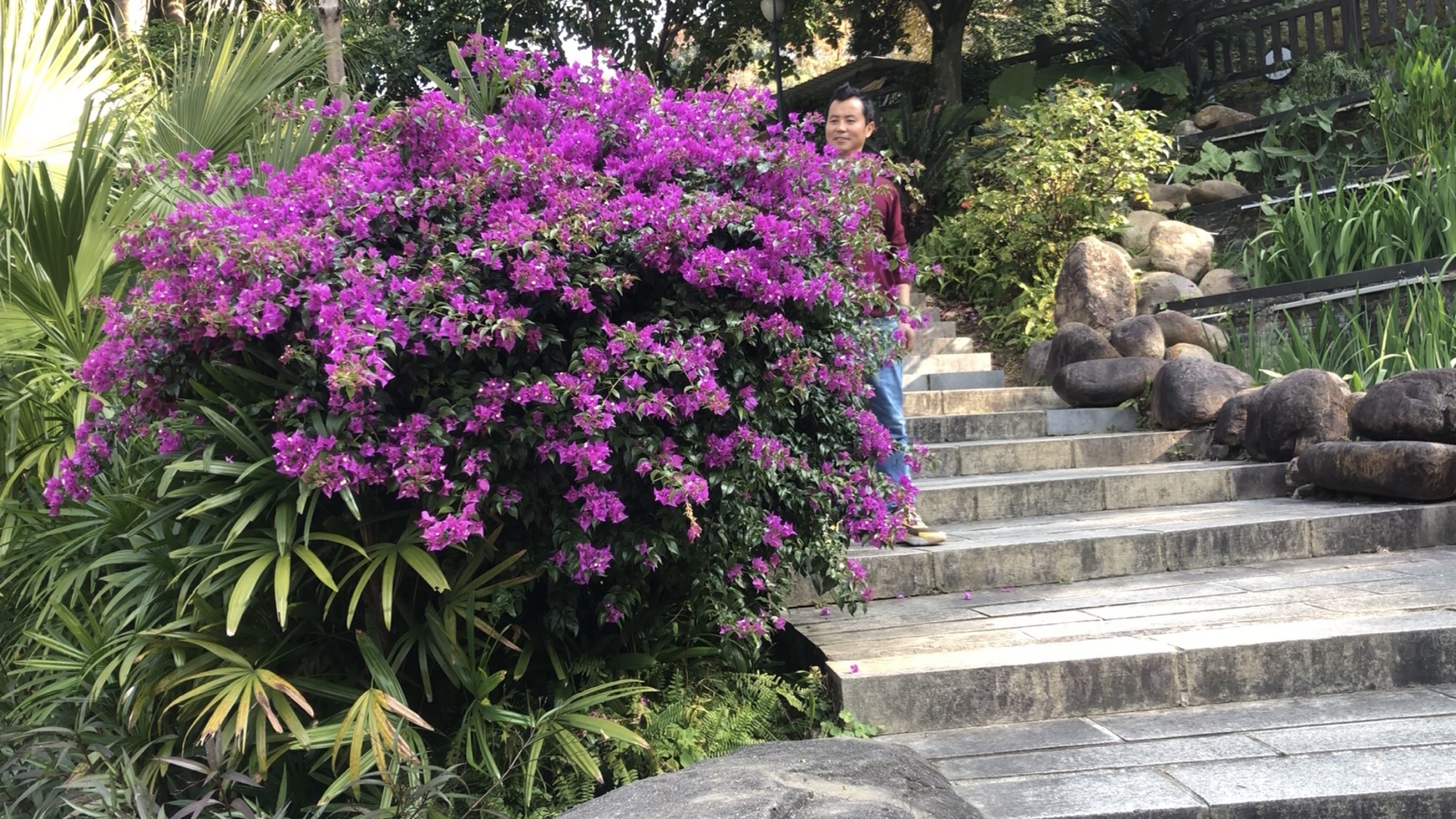 莲花山公园旅行图片 2
