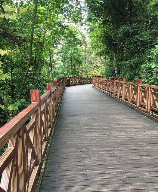 莲花山公园旅行图片 3