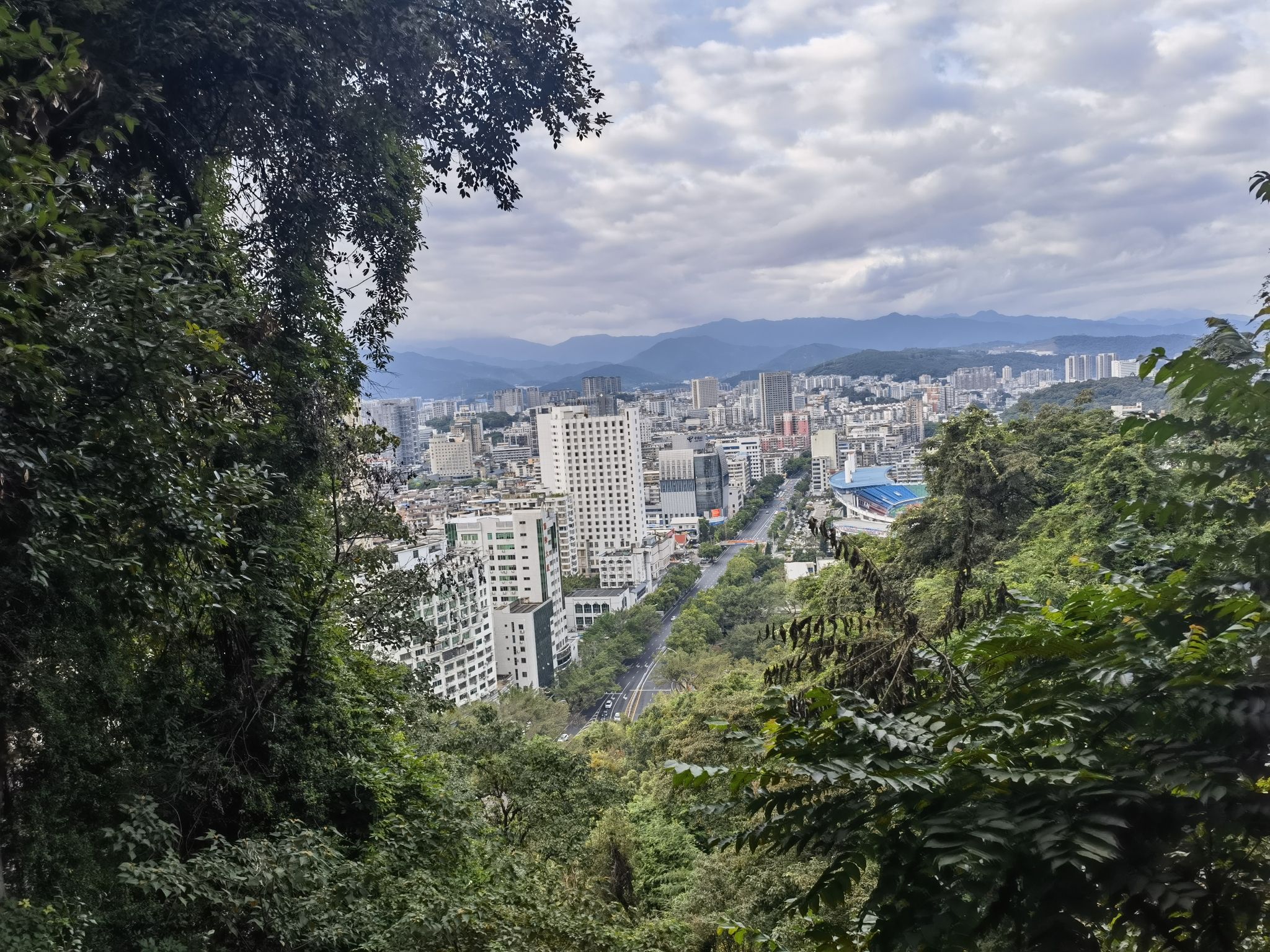 莲花山公园旅行图片 3