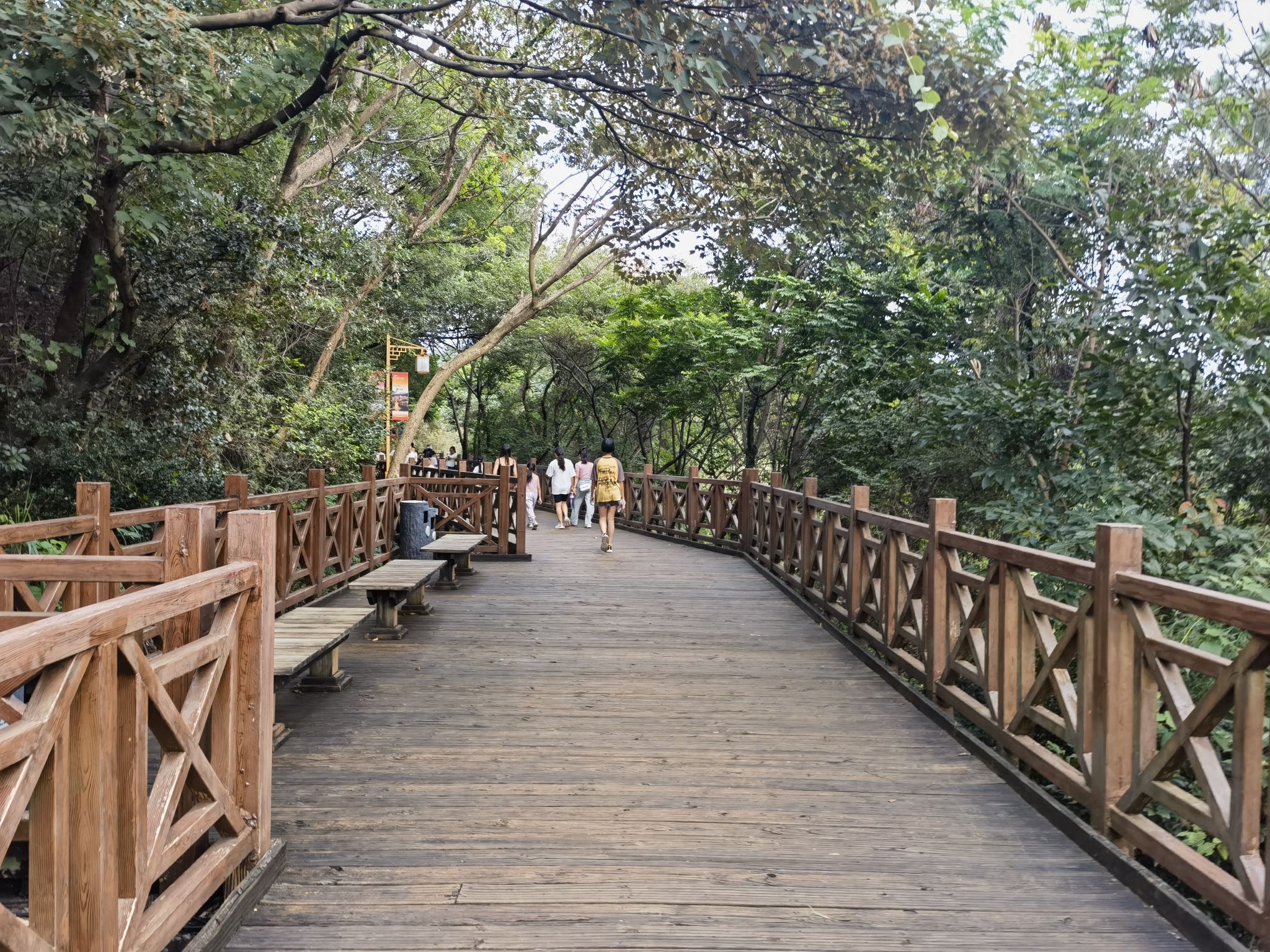 莲花山公园旅行图片 1