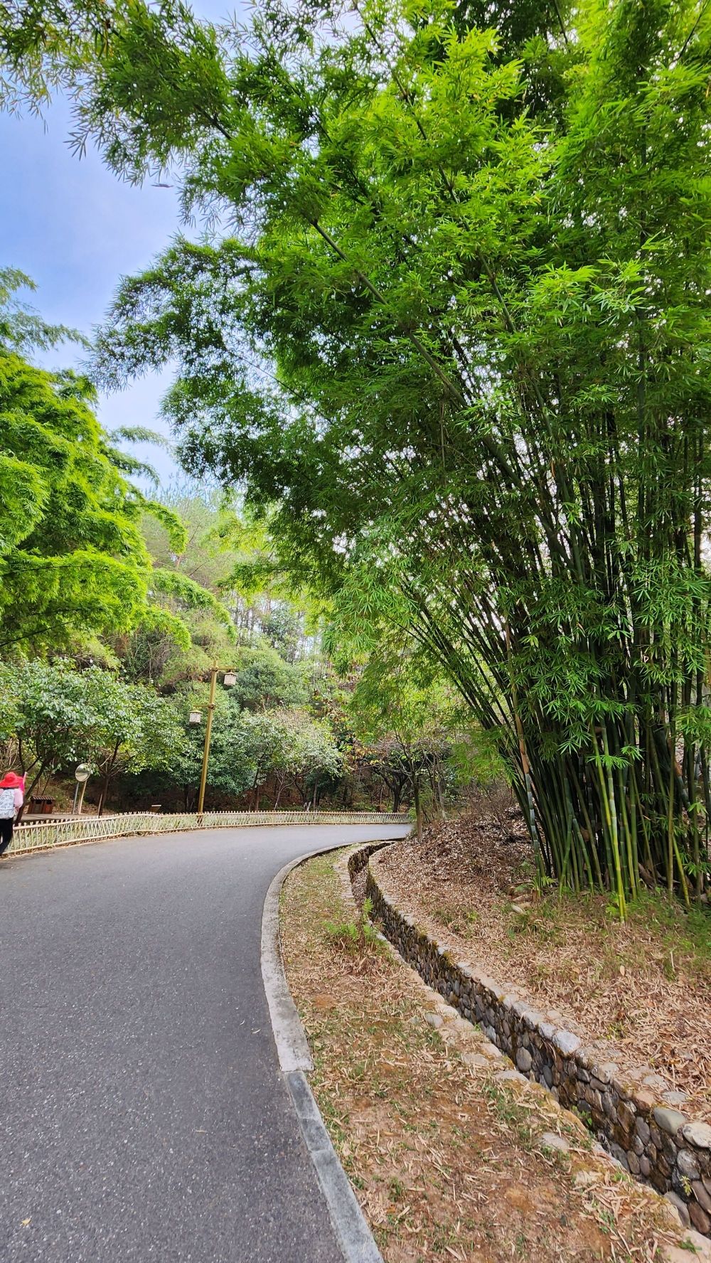 冠豸山景区旅行图片 1
