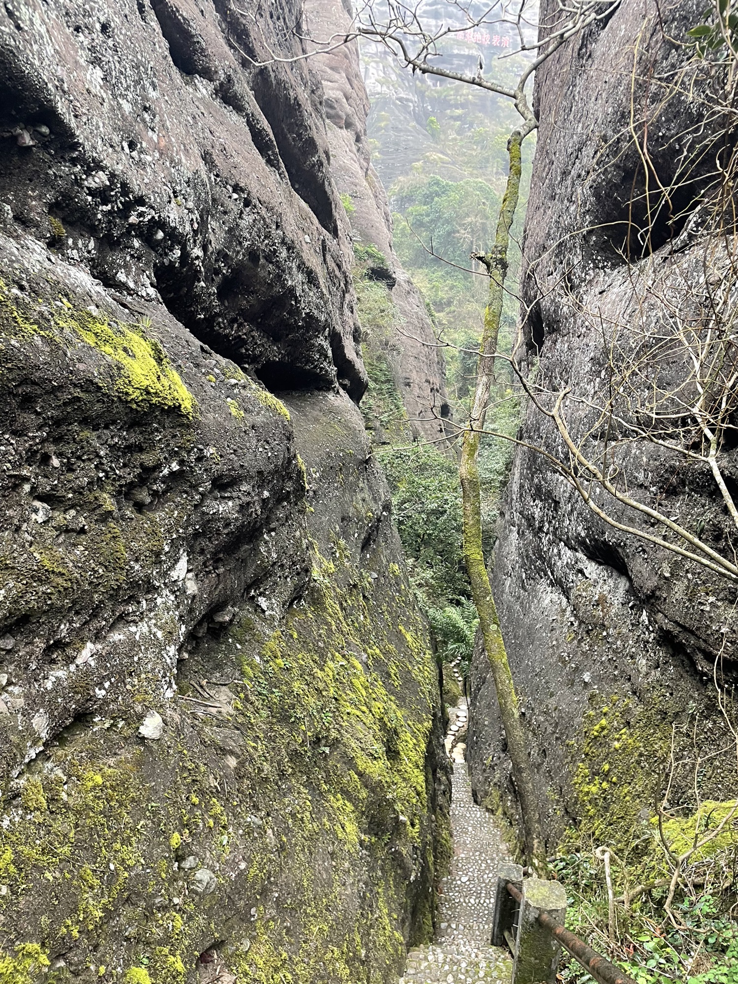 冠豸山景区旅行图片 1