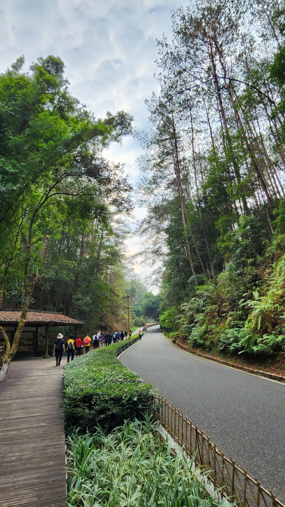 冠豸山景区旅行图片 2