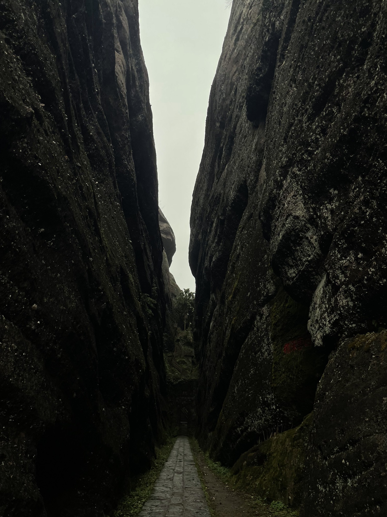 冠豸山景区旅行图片 2