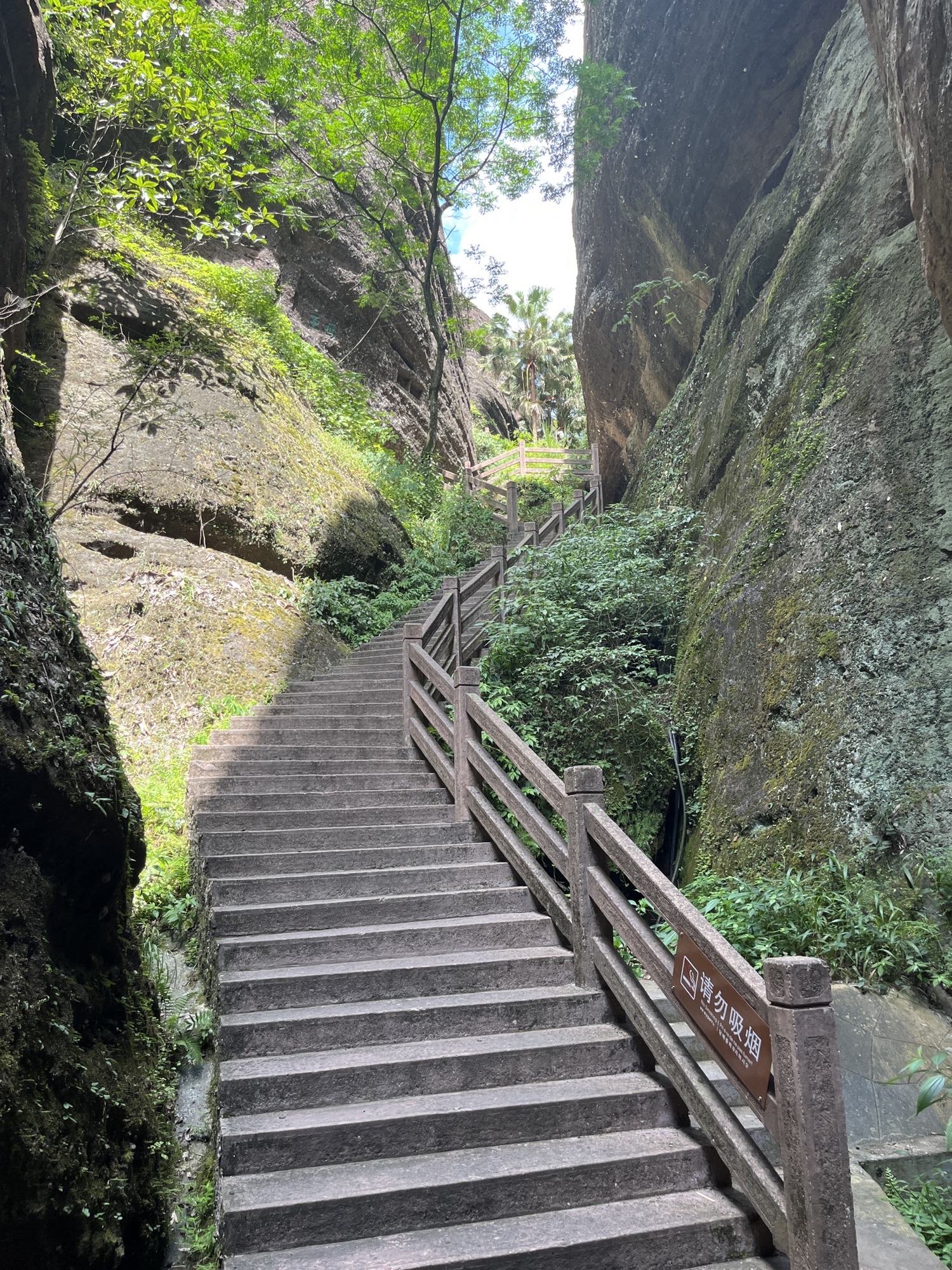 冠豸山景区旅行图片 3