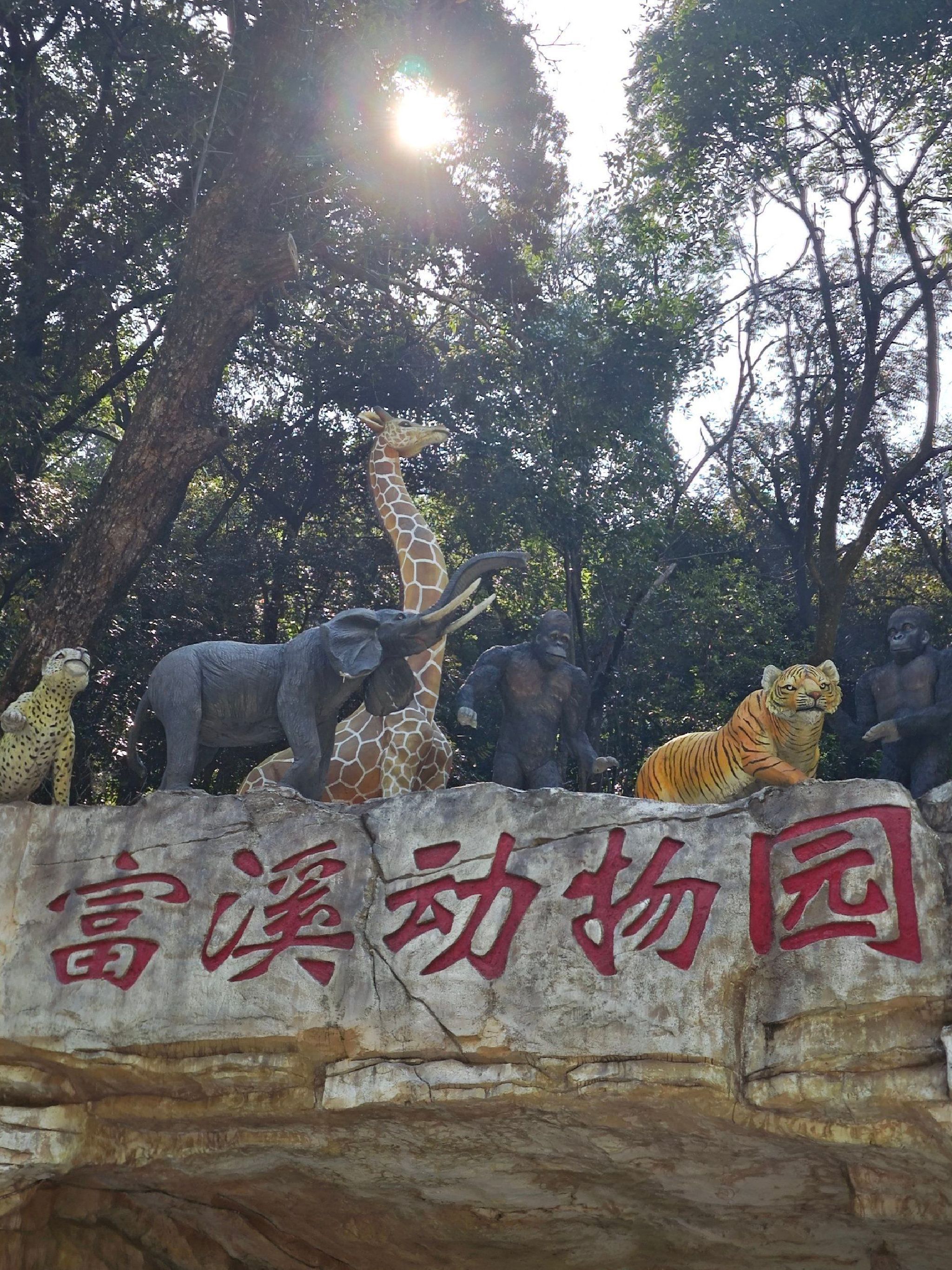 国家森林公园富溪旅游区旅行图片 2
