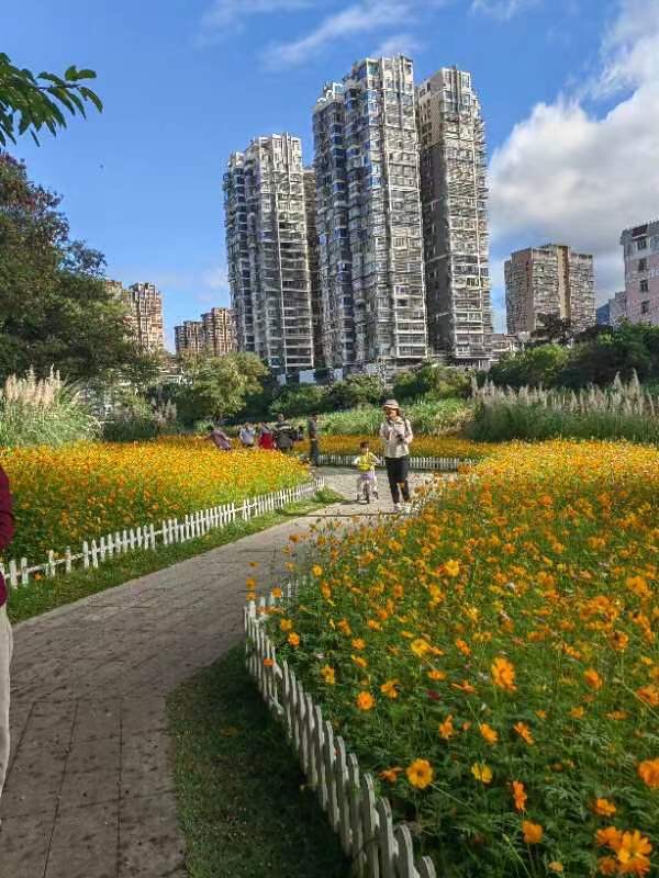 莲滨公园旅行图片 2
