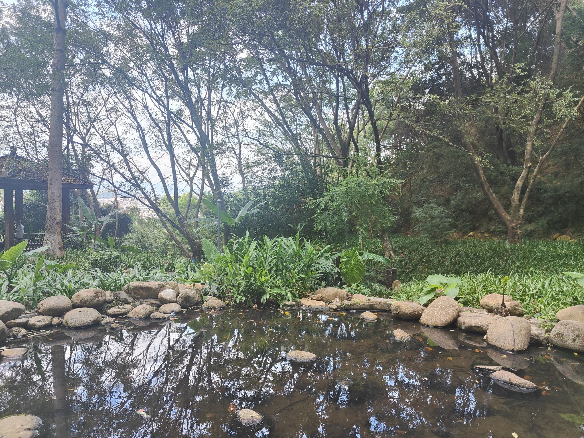 莲花山公园天马山