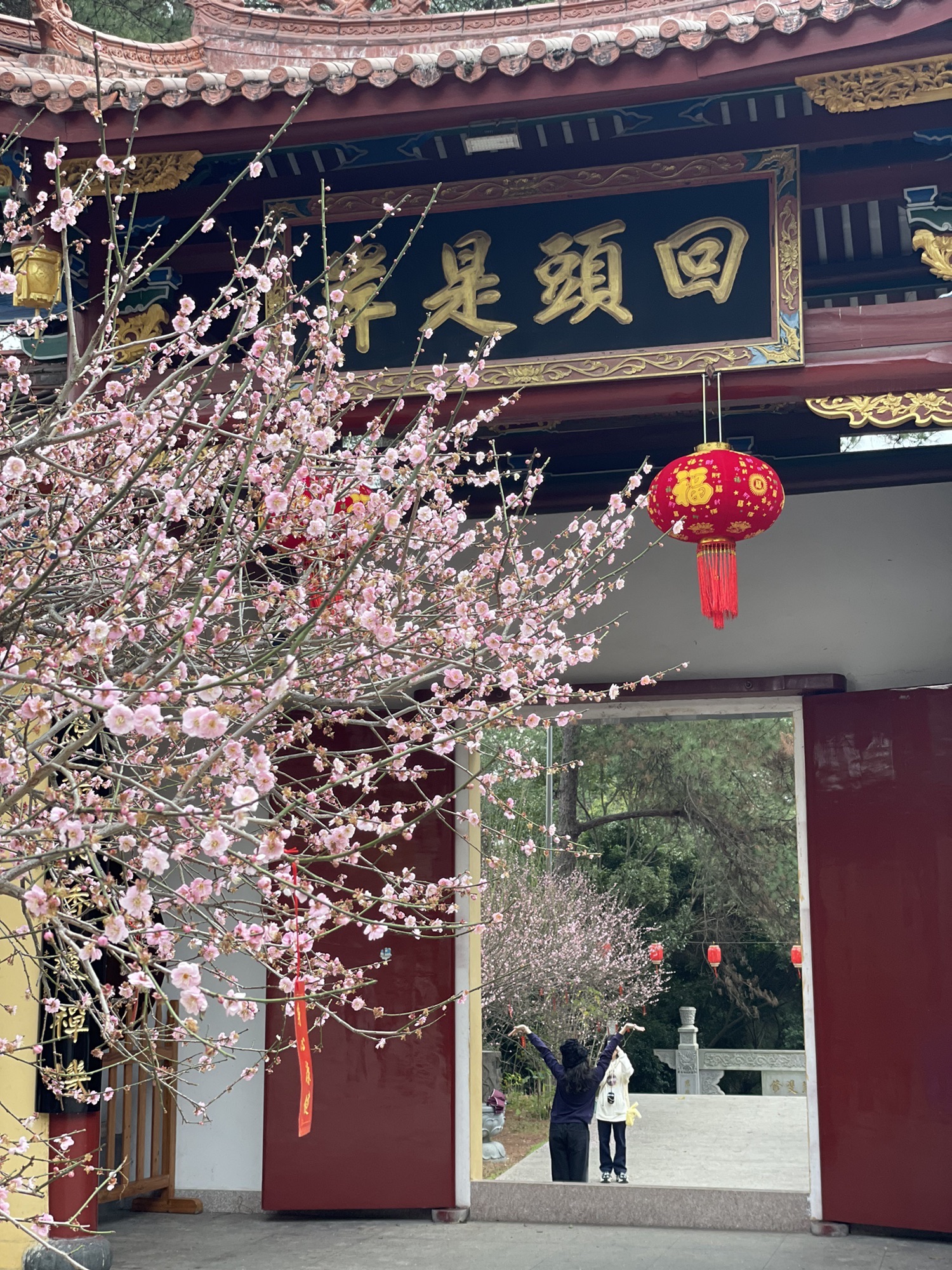 莲花山公园天马山