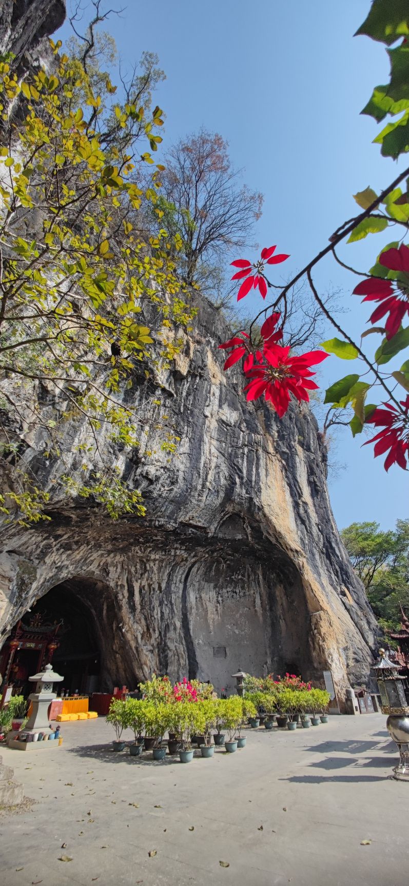 狮岩景区旅行图片 2