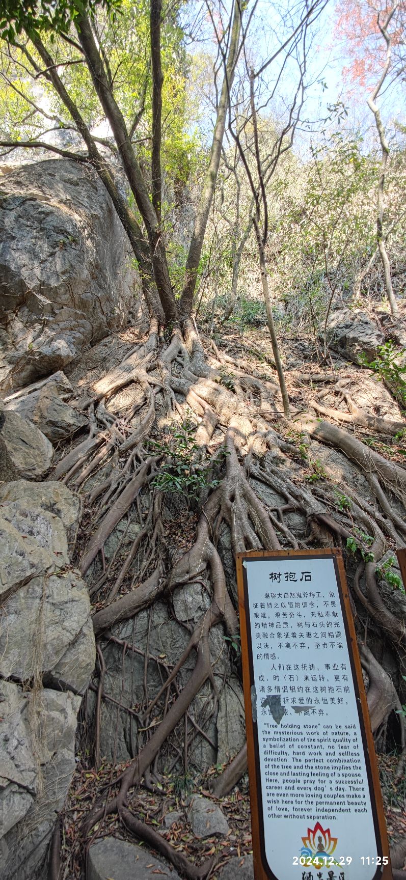 狮岩景区旅行图片 1