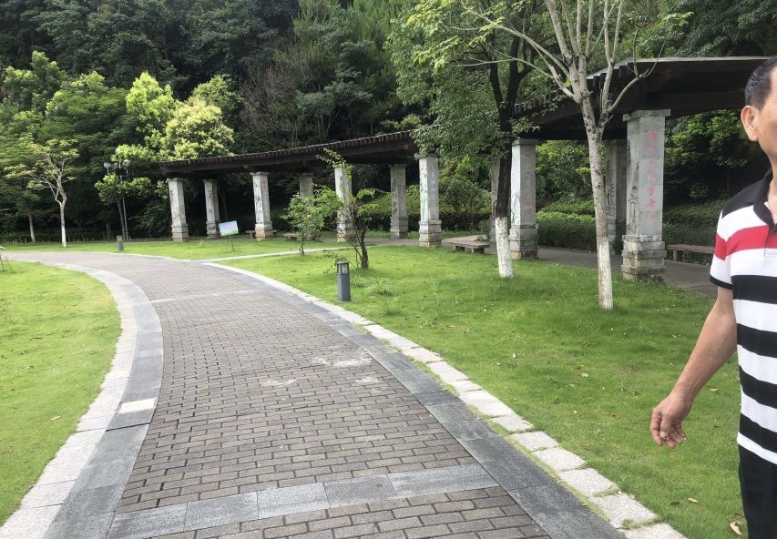 碧水公园旅行图片 1