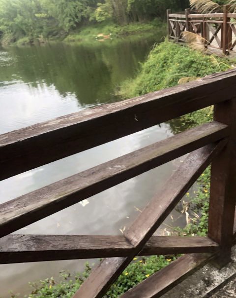 碧水公园旅行图片 2