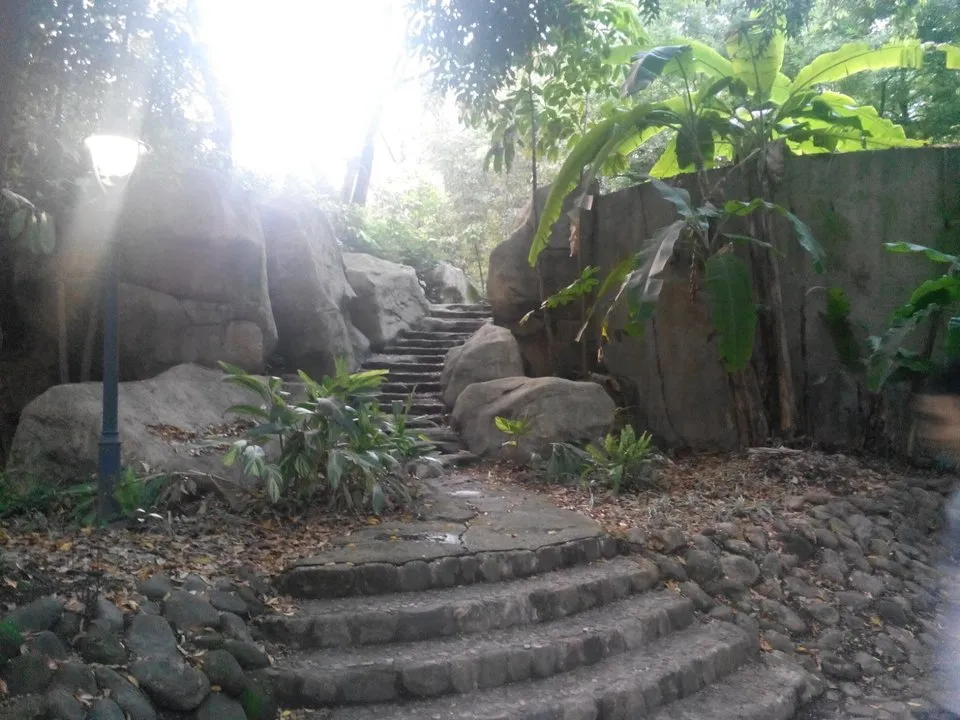 登高山公园旅行图片 3