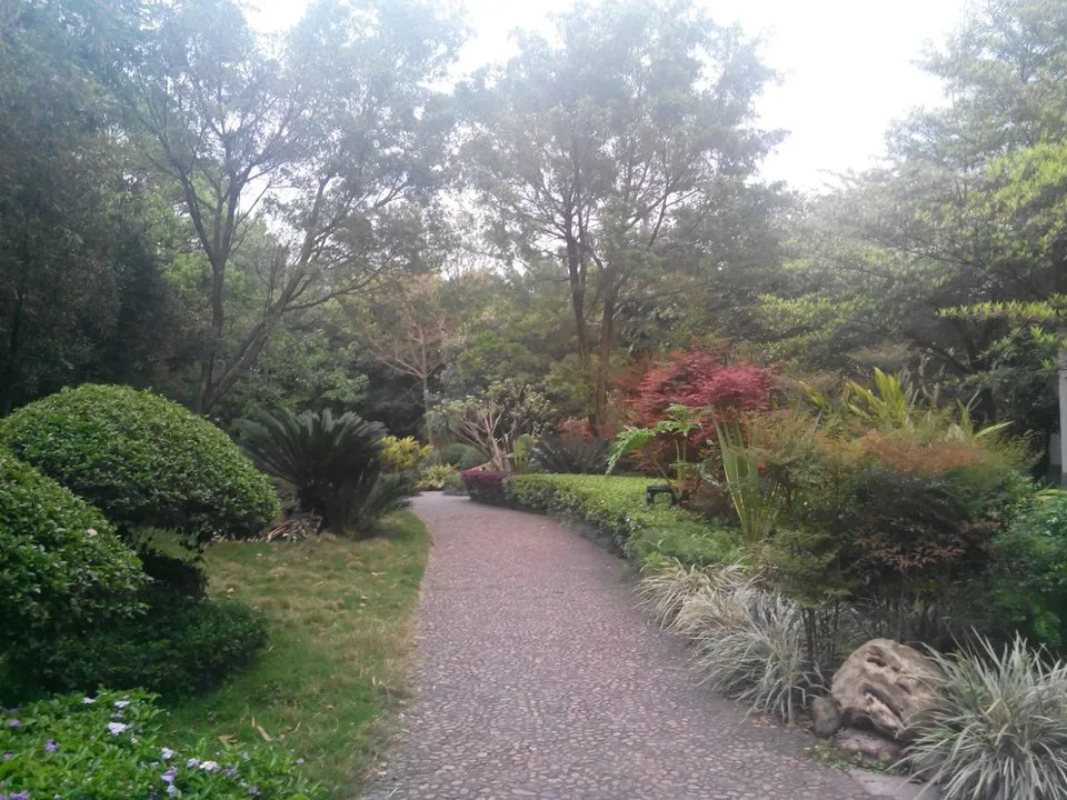 登高山公园旅行图片 2