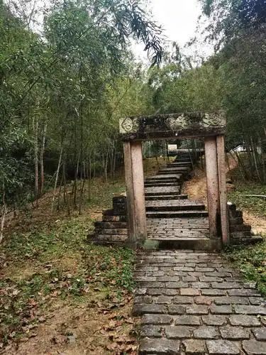 上杭国家森林公园旅行图片 3